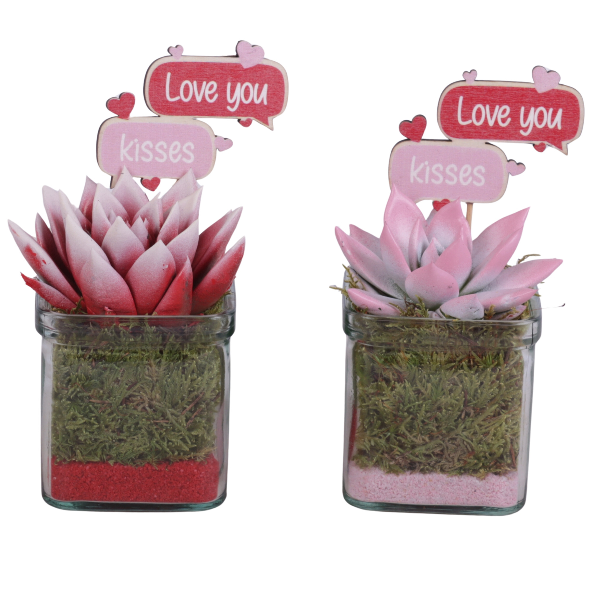 Valentine Arr. Succulent Glass Accuglas Square Ø08cm 1PP, D 8