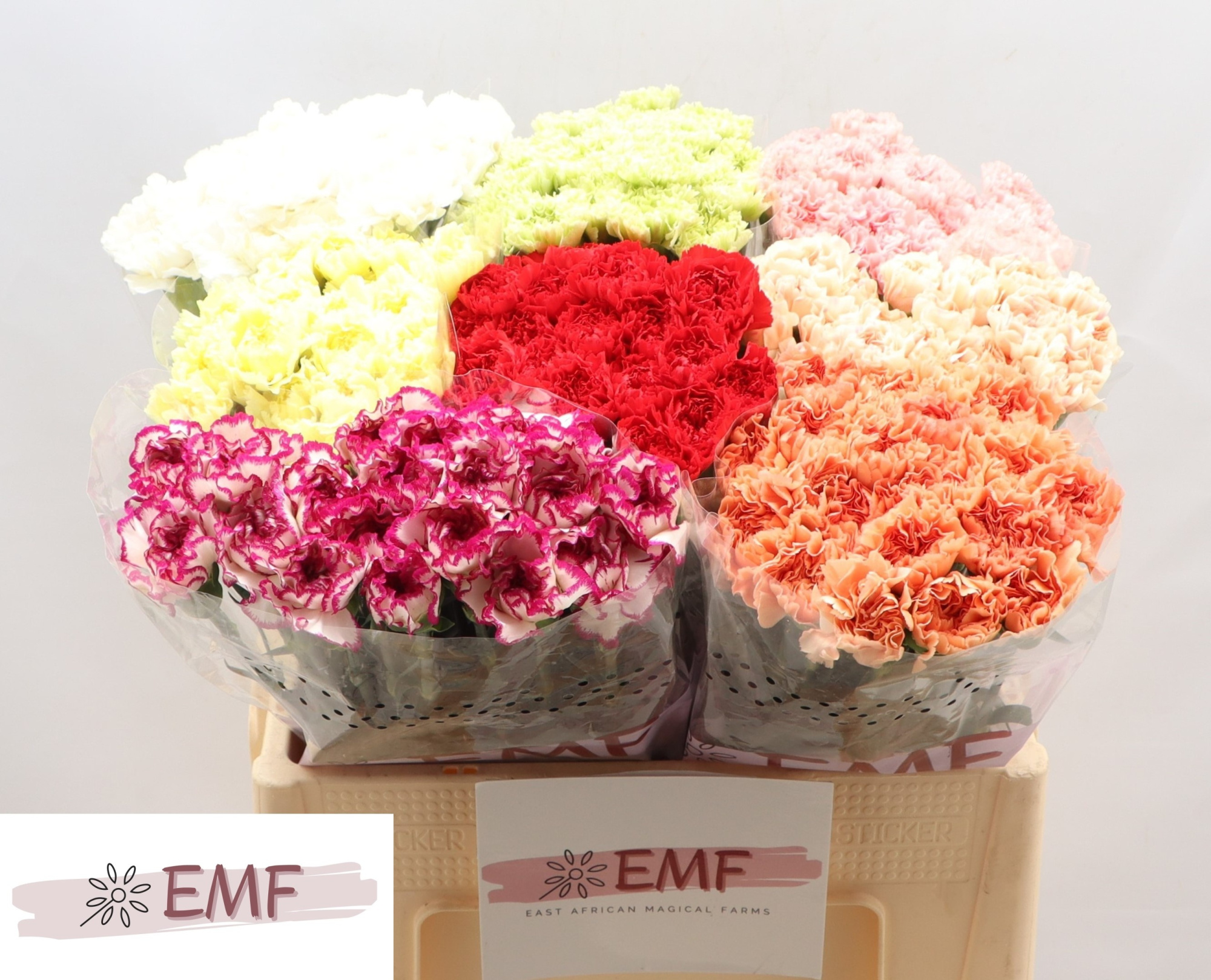 Диантус од. Микс в баке, шт.