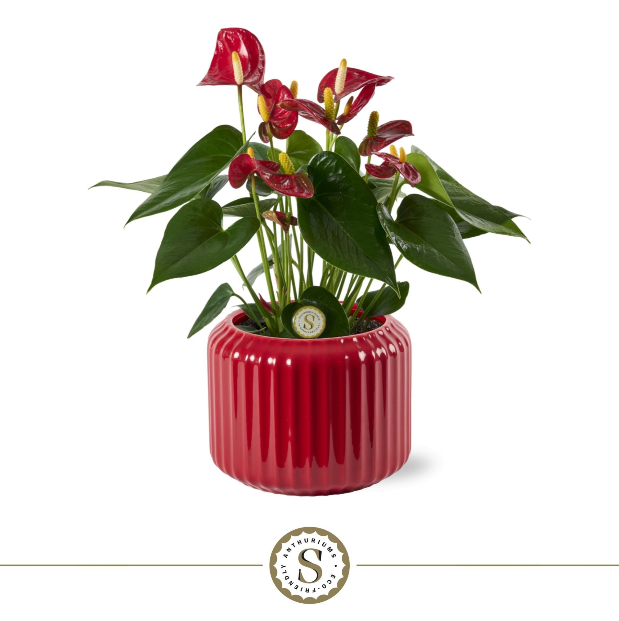 Bologna Keramiek Red - Red, D 12 cm