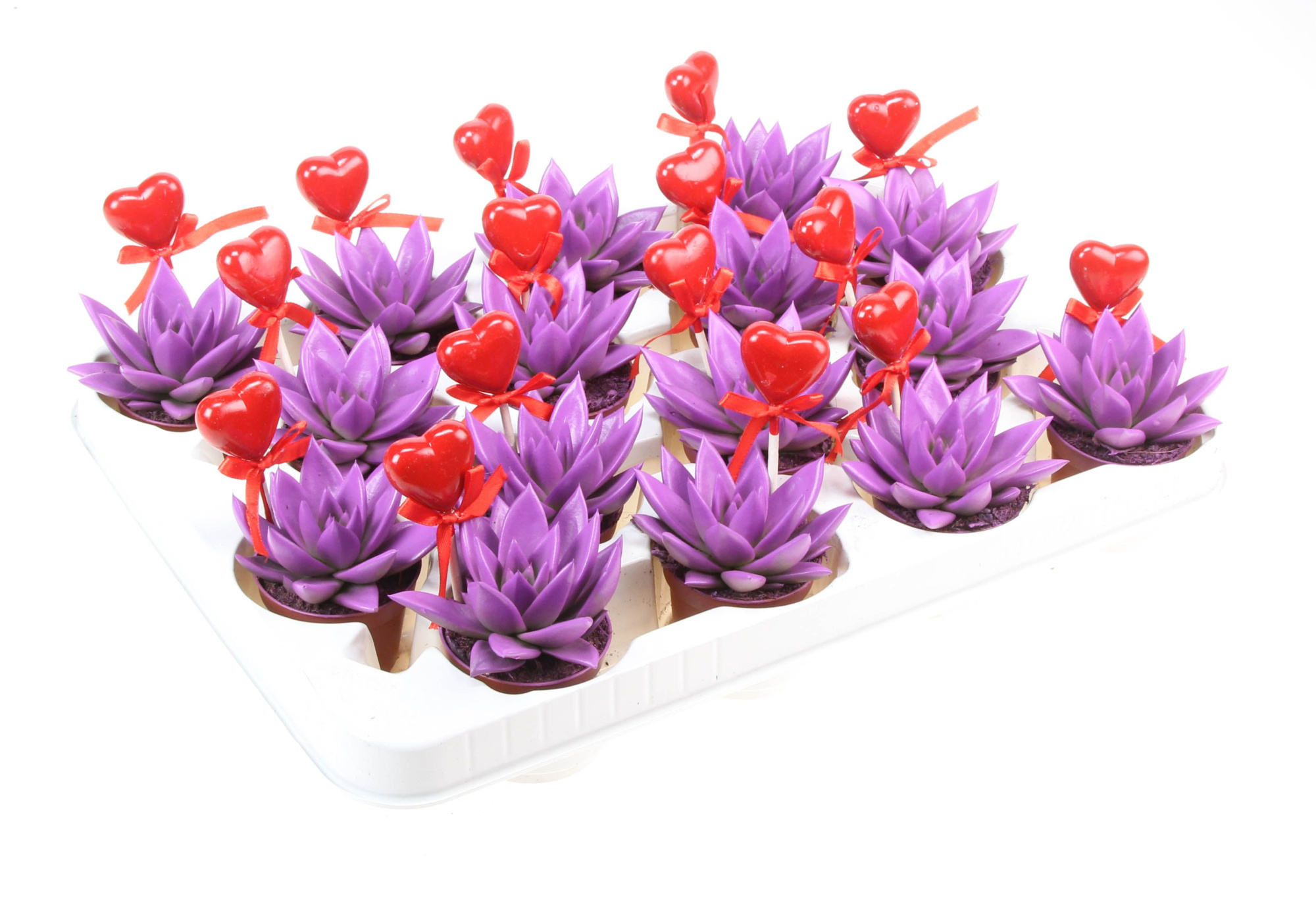 Miranda paars+hartje, D 6 cm