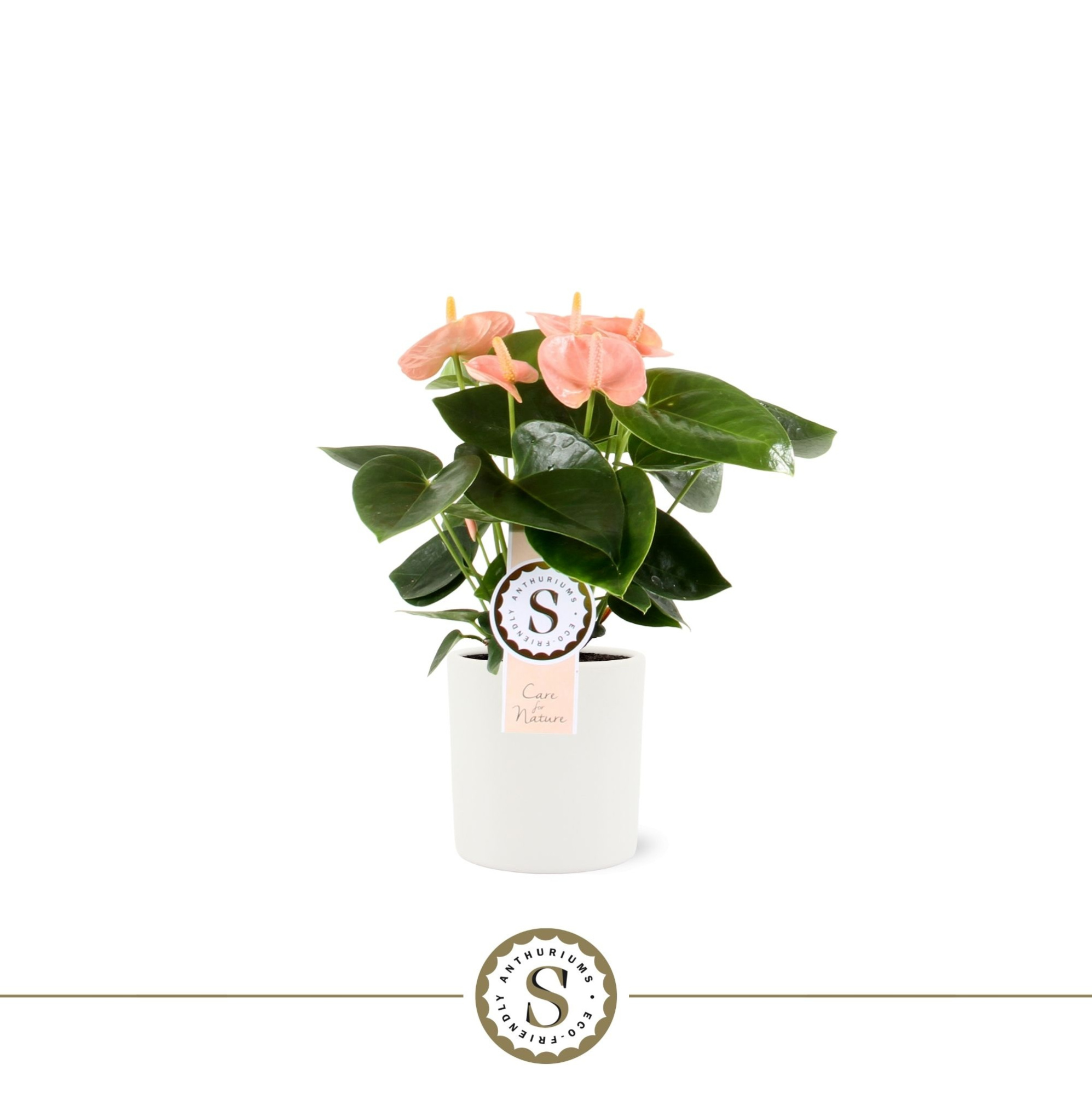 Bari keramiek 9cm Spirit, D 9 cm