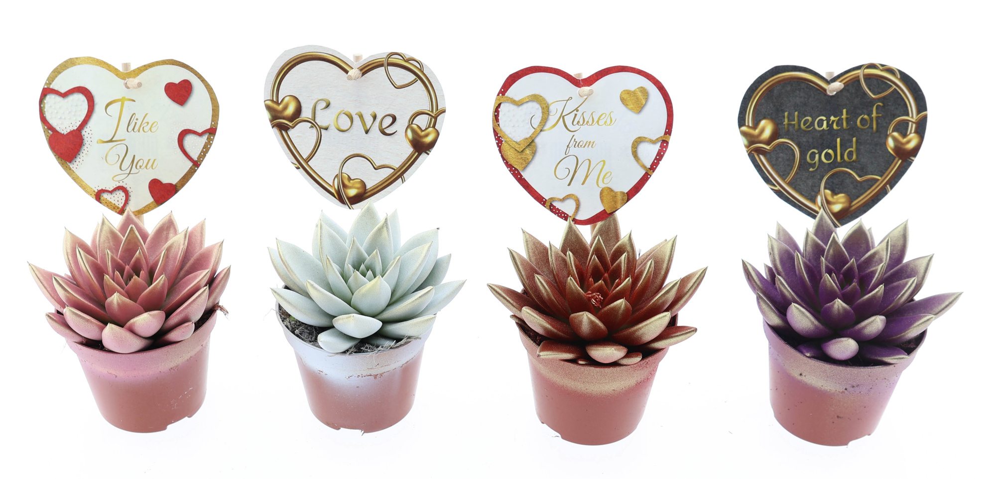 Miranda 2 colors + love etiket, D 8,5