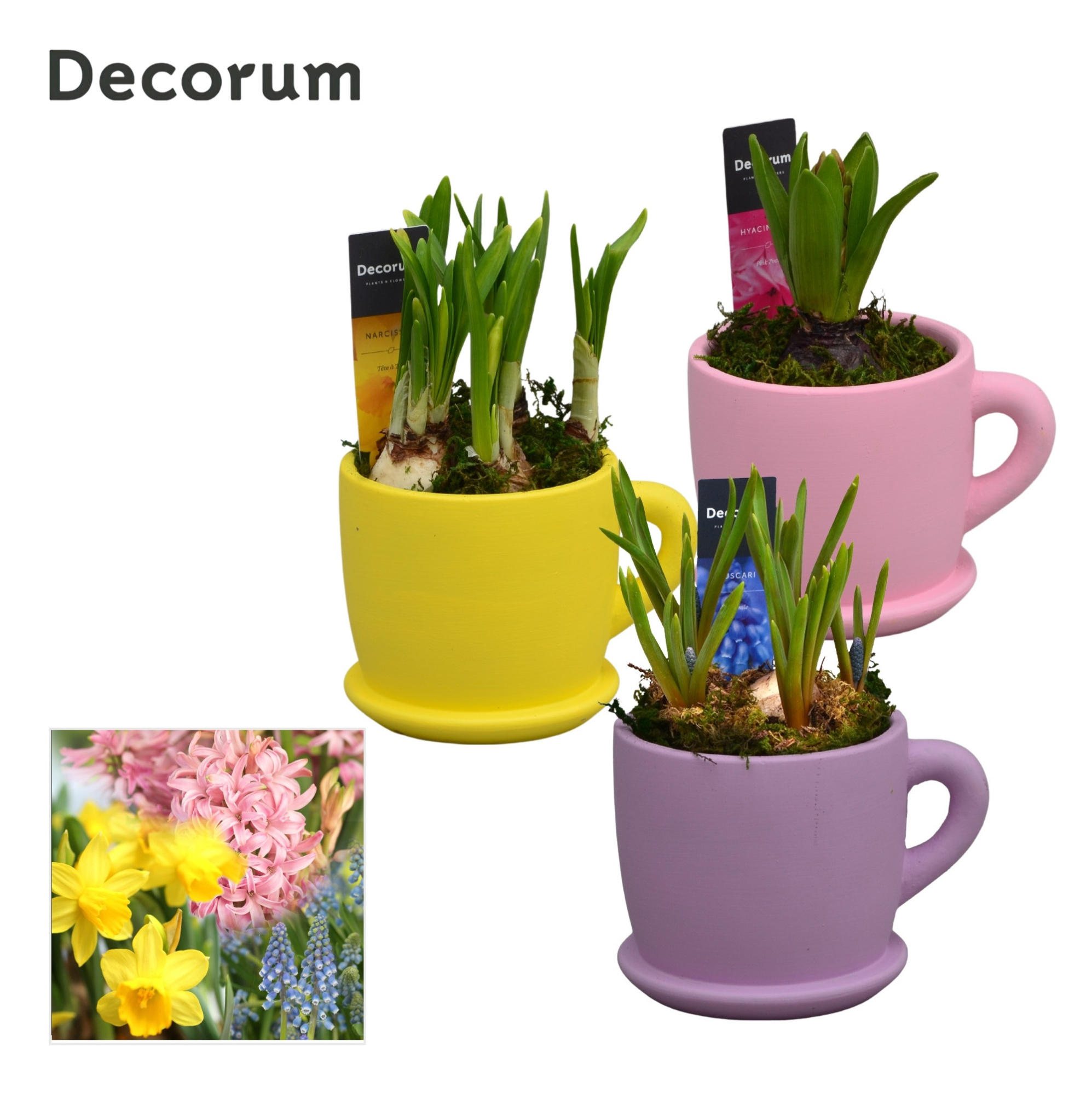 Bollenmix Fleurig Bakkie HL15283B, D 10