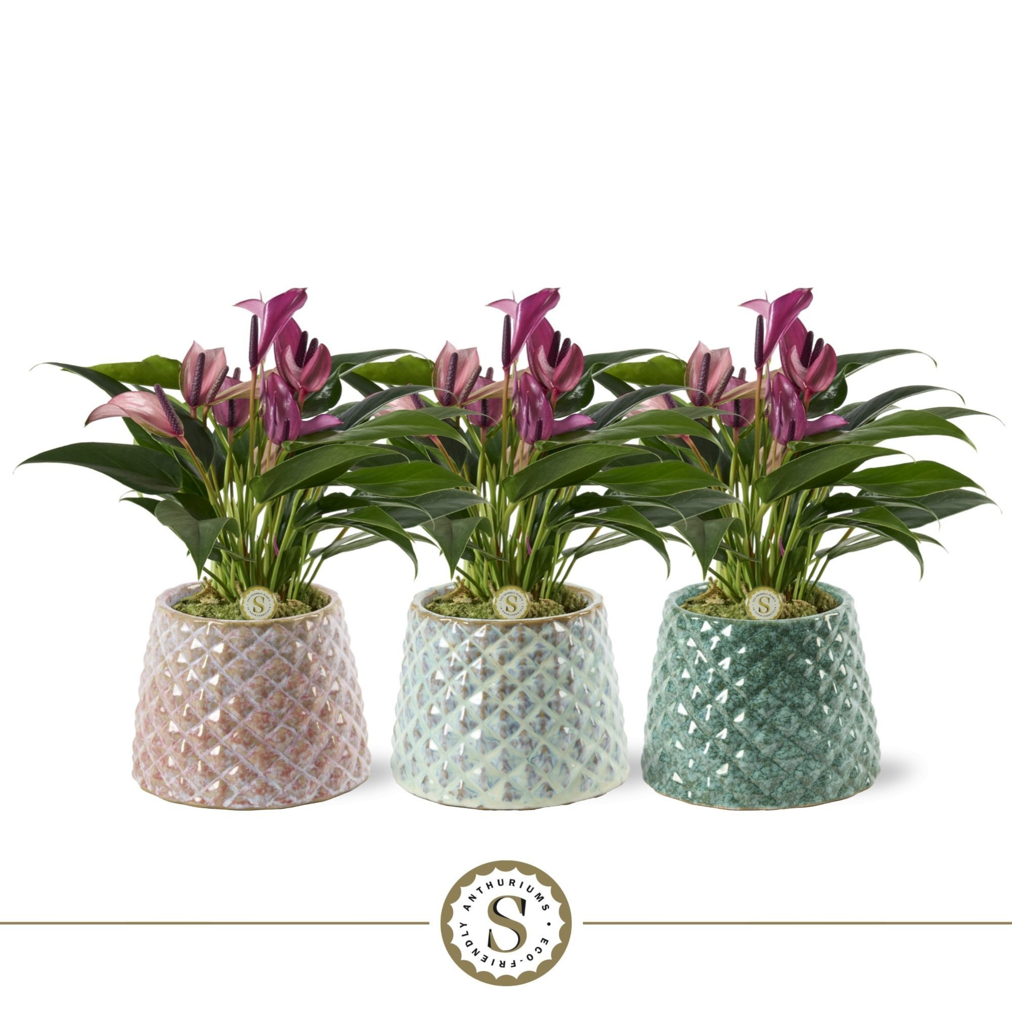 Florence Keramiek Zizou, D 12