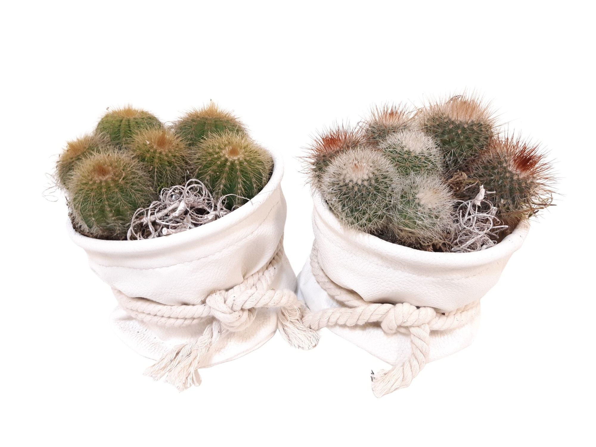 Leather Bag White + Cotton rope Cactus mix, D 14 cm