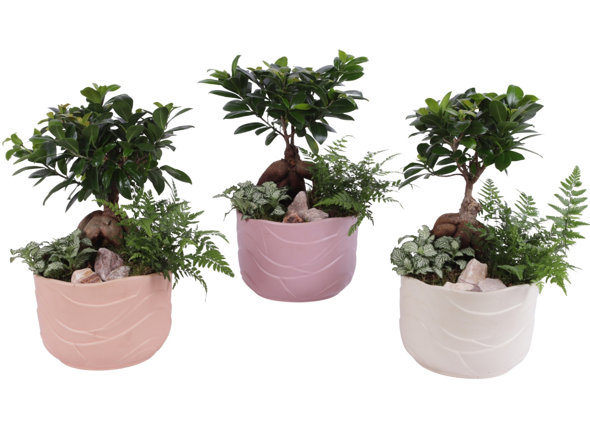 Yearround Arr. Indoor Ceramic Soft Elegance SE660 Ø20cm 3PP, D 20