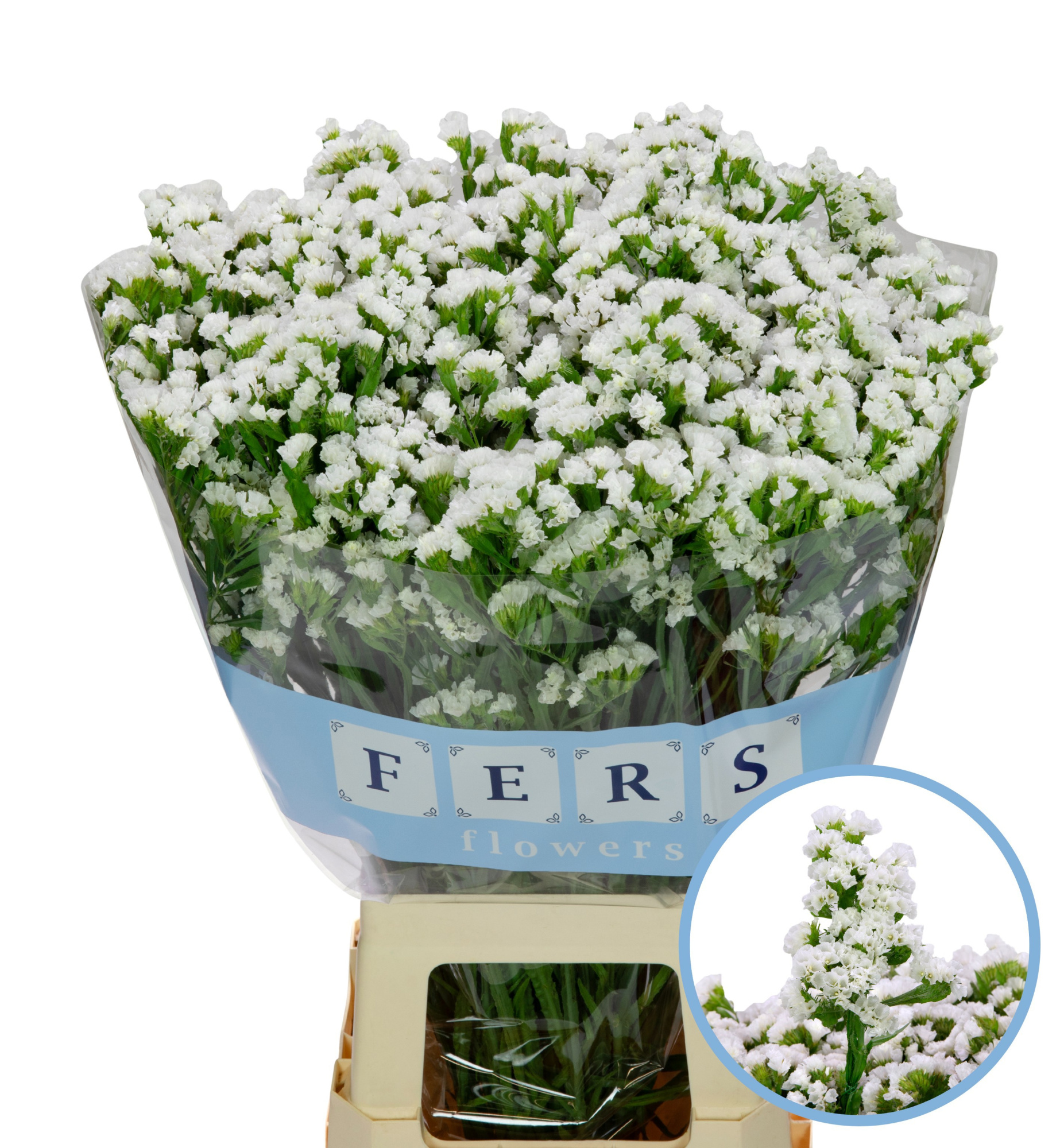 Статица Вайт Старлайт Вингз 70 (бел.), шт.