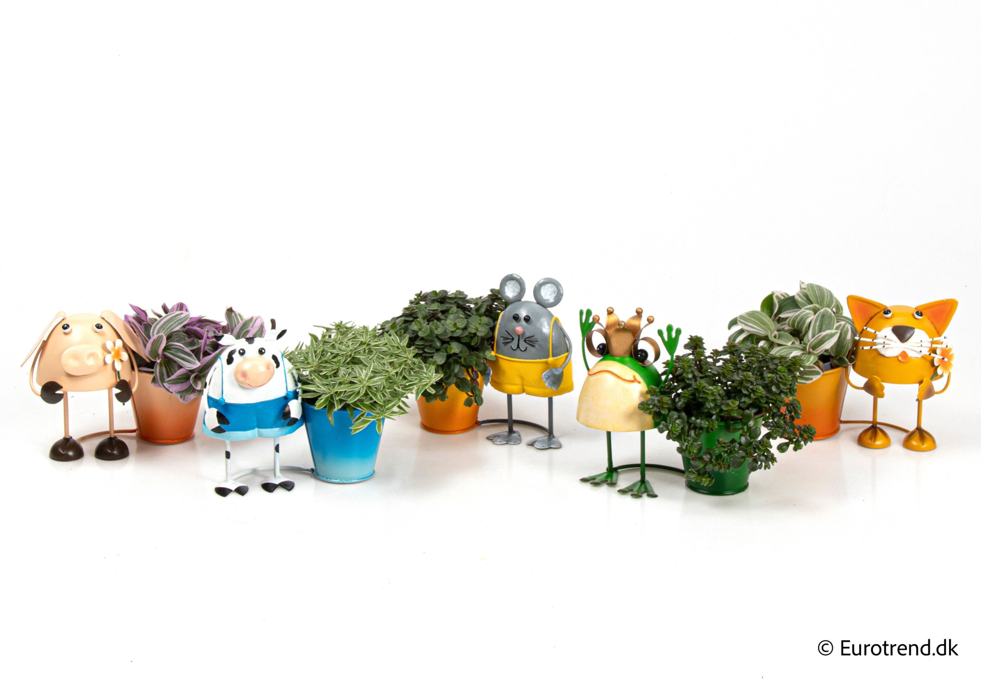 Green mix with animals in metal pots - Spring, Summer & Autumn 2025, D 6 cm