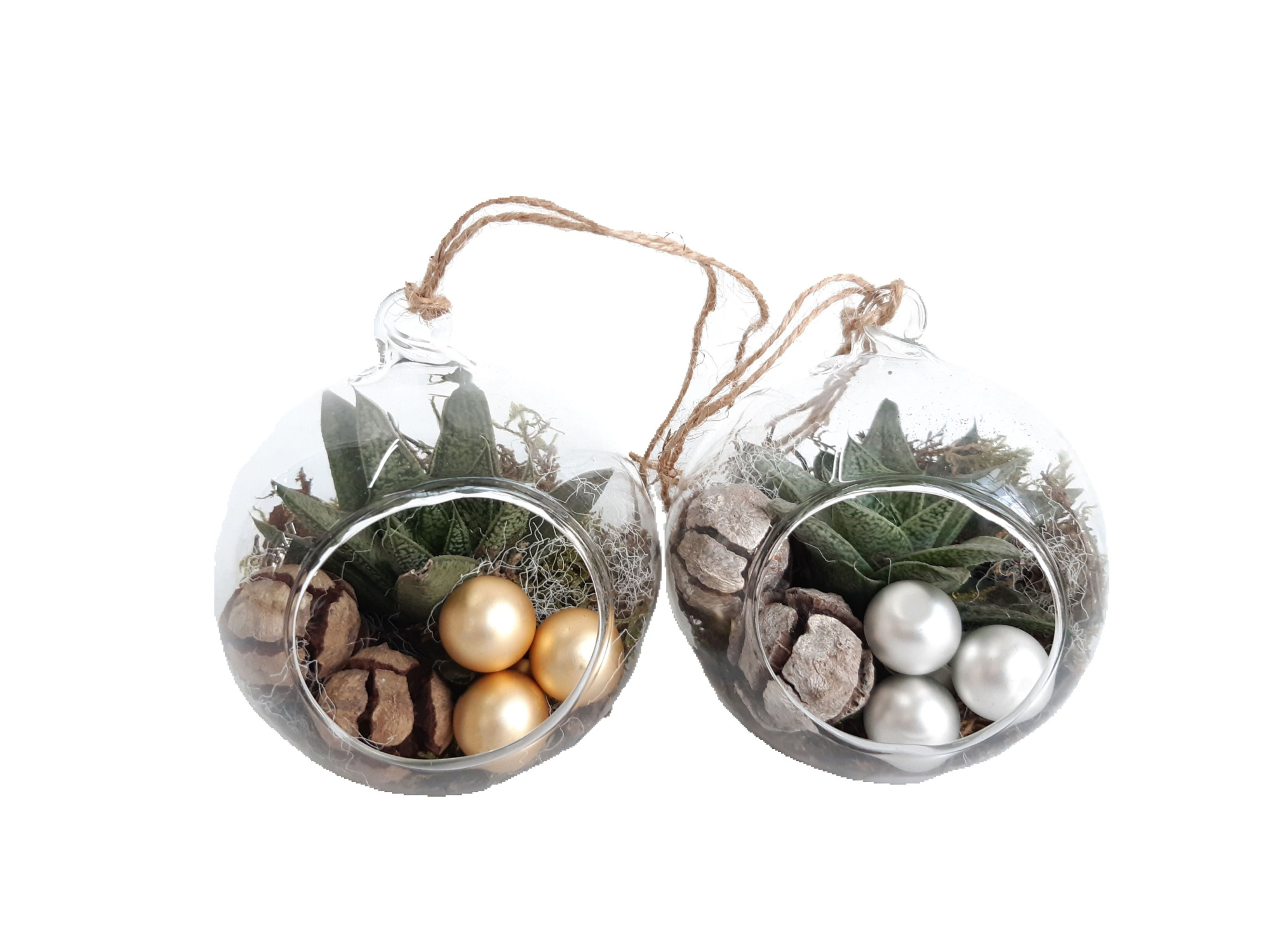 GB10KST Glasbol 10cm Gasteria Kerst, D 10 cm