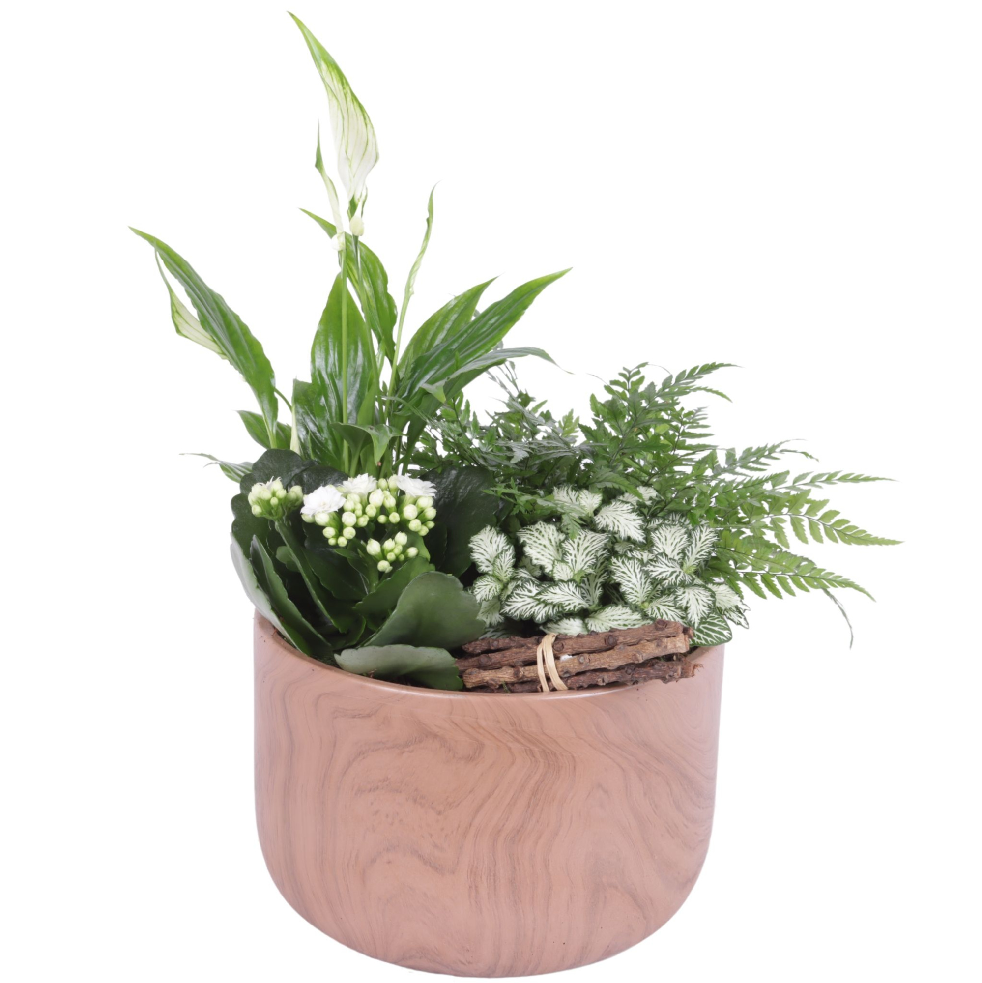Yearround Arr. Indoor Ceramic Naturel Touch N565 Ø20cm 4PP, D 20 cm