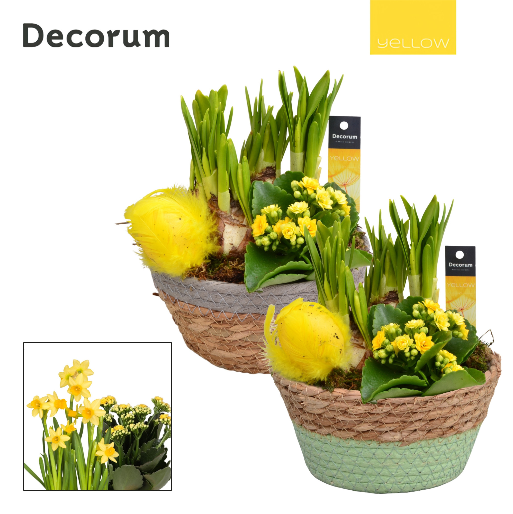 Calandiva & Narcis Urban Schaal HL20915 [YELLOW], D 17