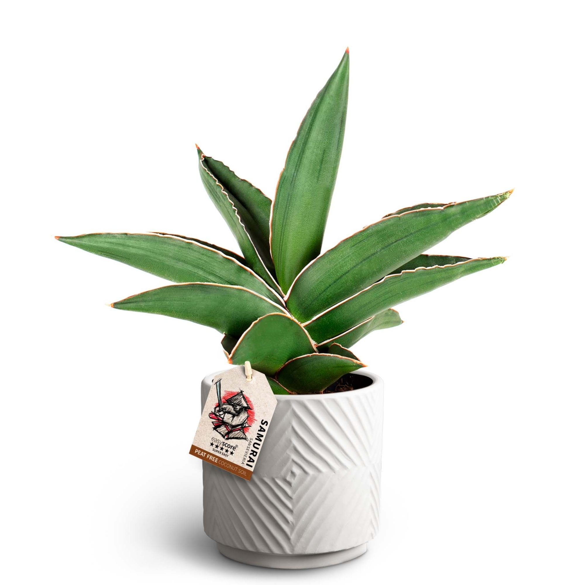 Dune Sand Samurai 11 cm, D 12 cm