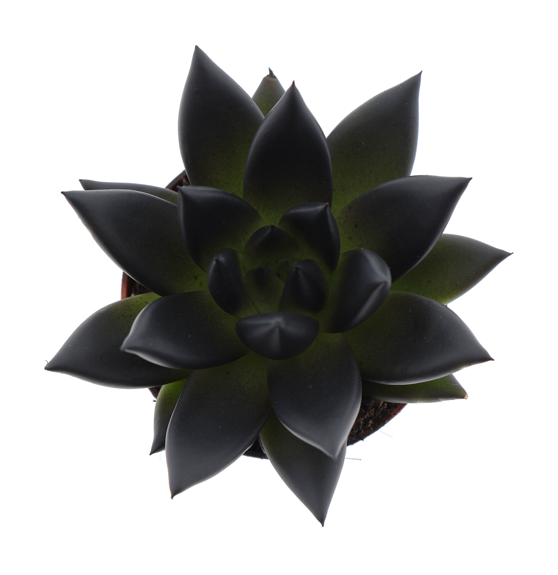 Rainbow deep black, D 5,5 cm