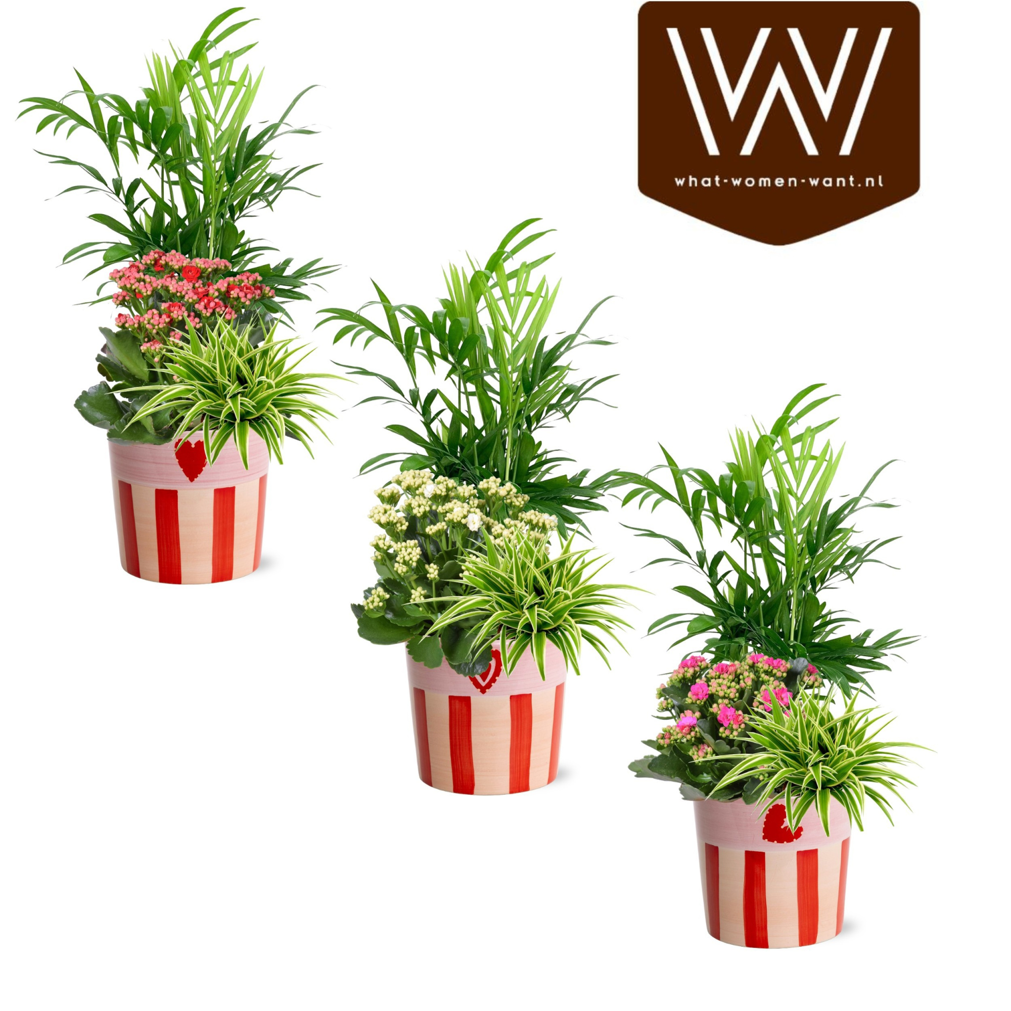 Collectie "Sympathetic Moods" - Arrangement in keramiek Romee, D 12