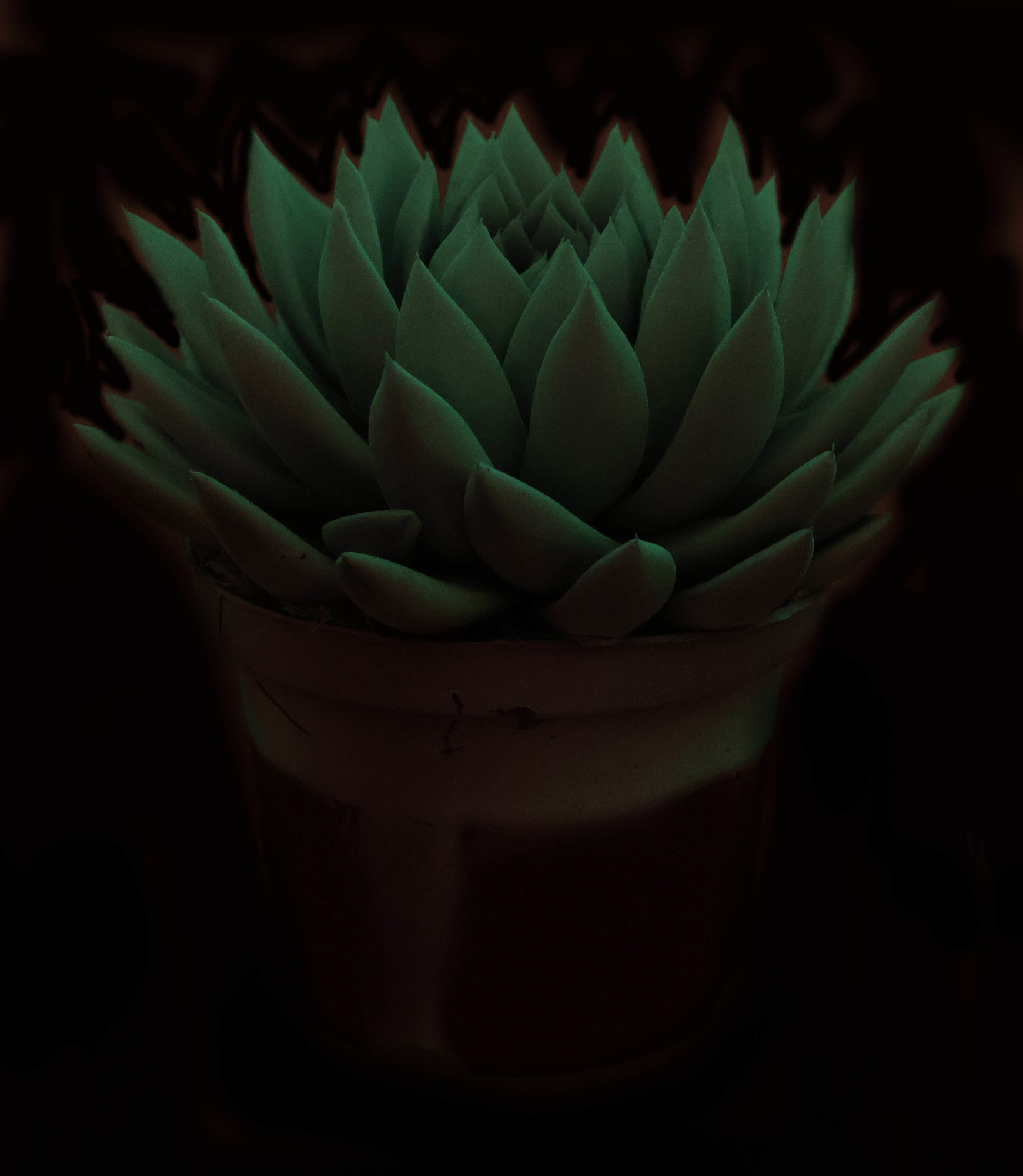 Glow in the dark + etiket, D 17