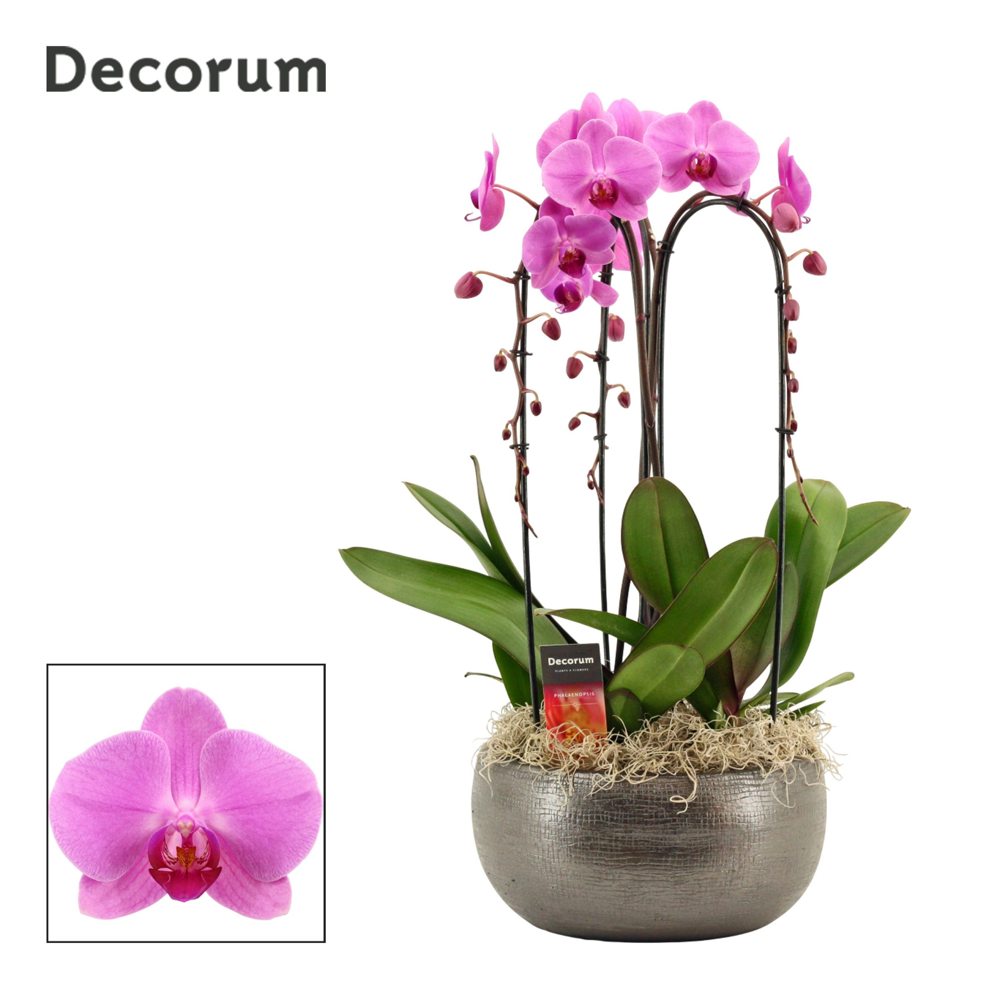 Nero cascade 3 tak symphony pink (Deco-collection), D 27 cm
