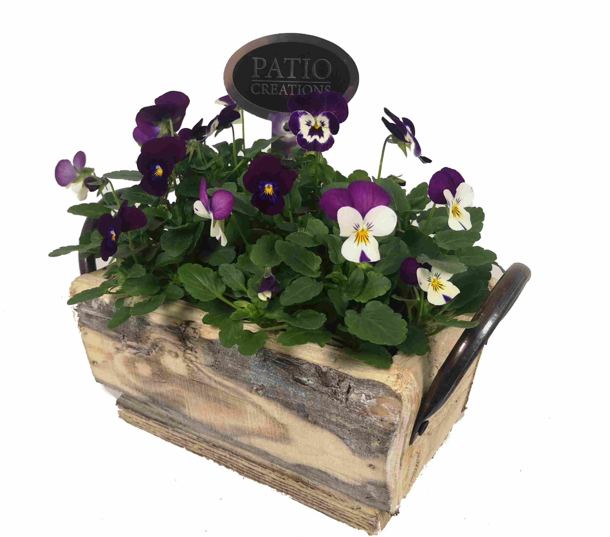 V673-9001 Viola dennenhout metaal oren S, D 22 cm