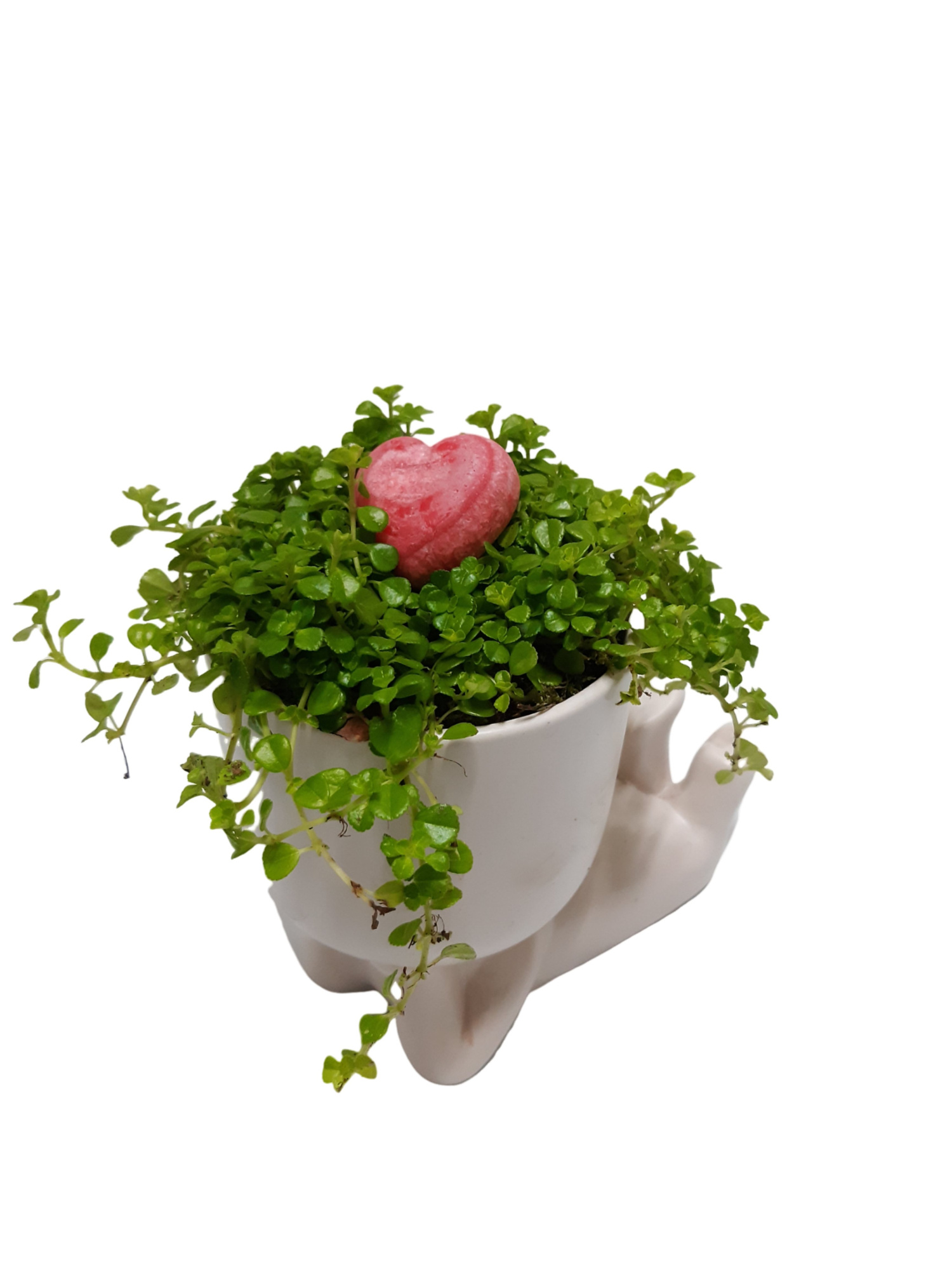 CLXL20AH Chillings XL White 20cm Aroma hart (Rose & Peony), D 20