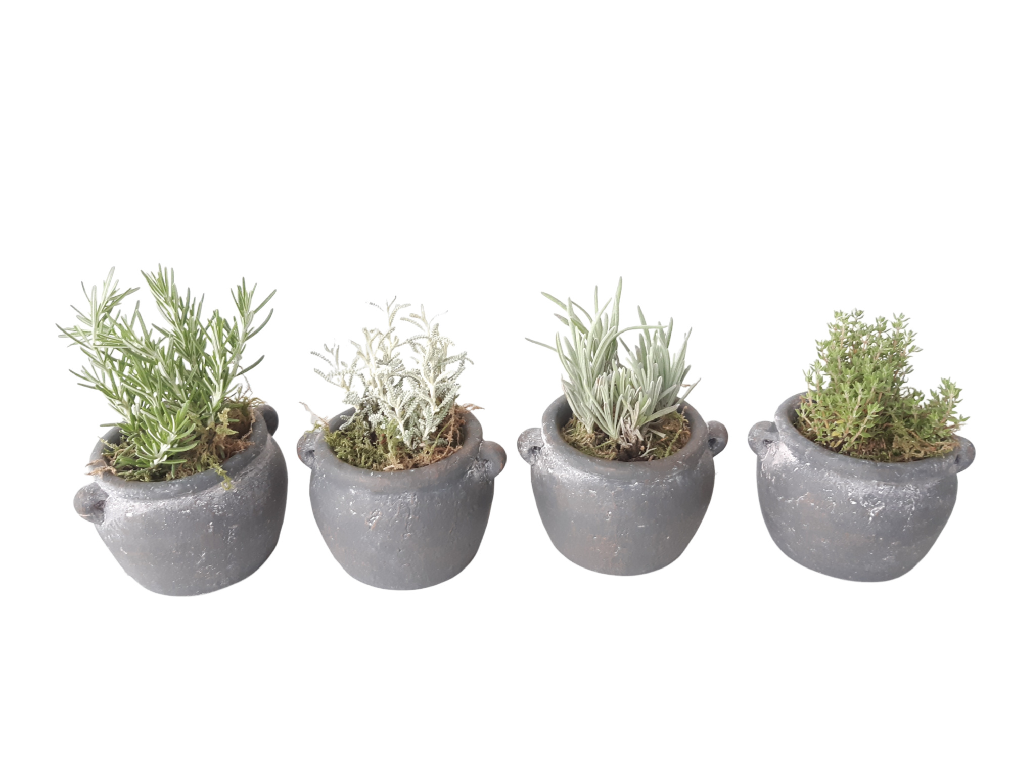 KR8HRBMX kruidenmix in mini kruikpotje, D 9 cm