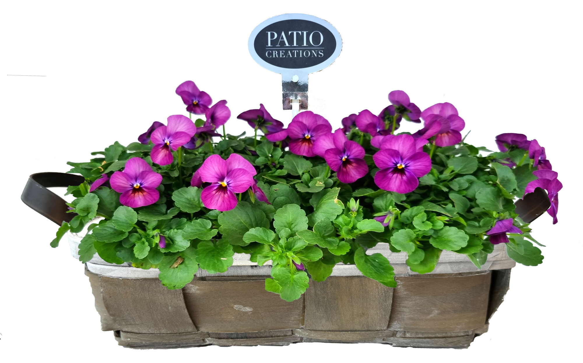 V827-9003 Viola Fenna lederlook handvat M, D 31 cm