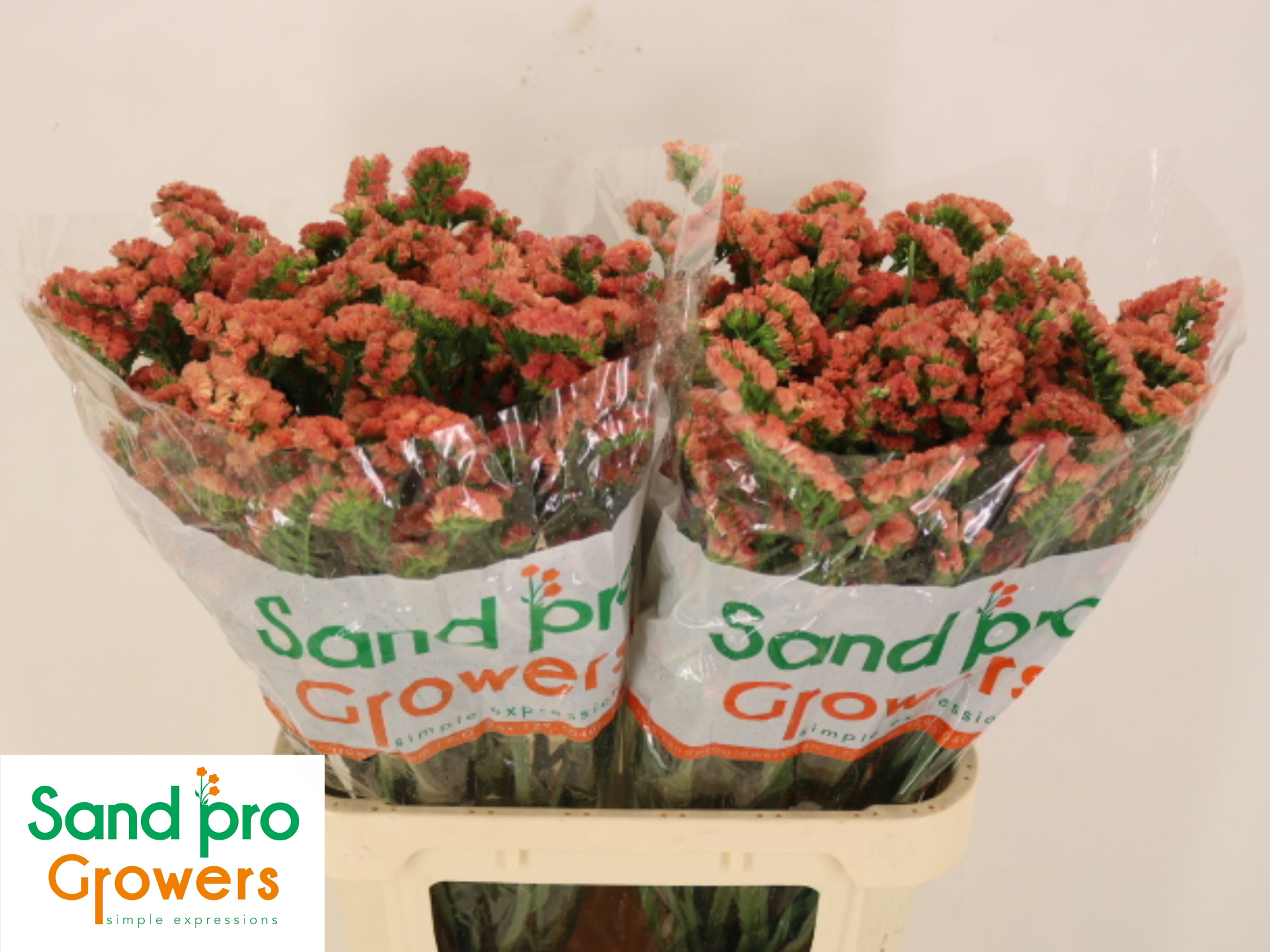 Статица Роял Оранж 80, шт.