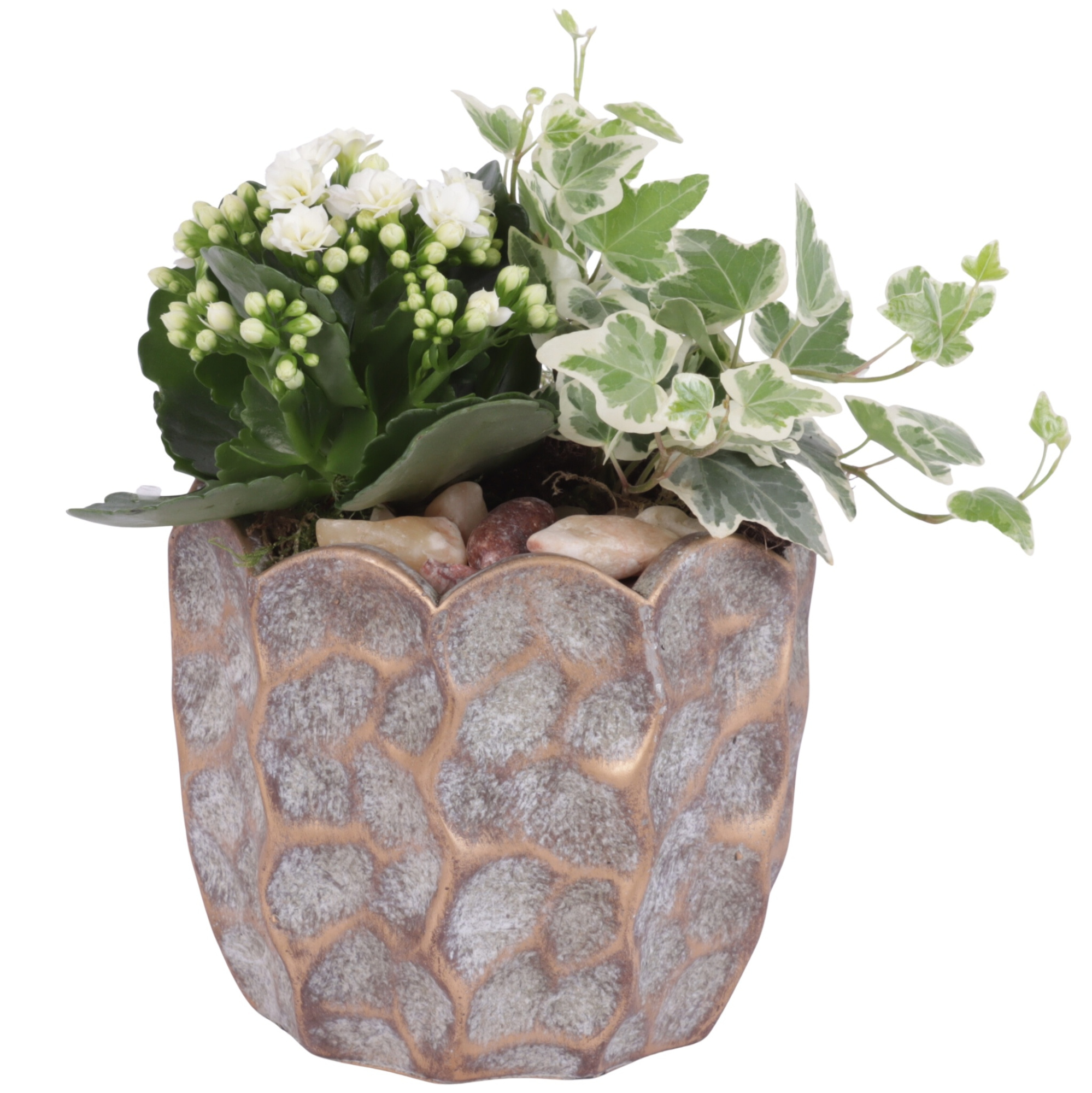 Yearround Arr. Indoor Ceramic Pure Luxury PL670 Ø15cm 2PP, D 15