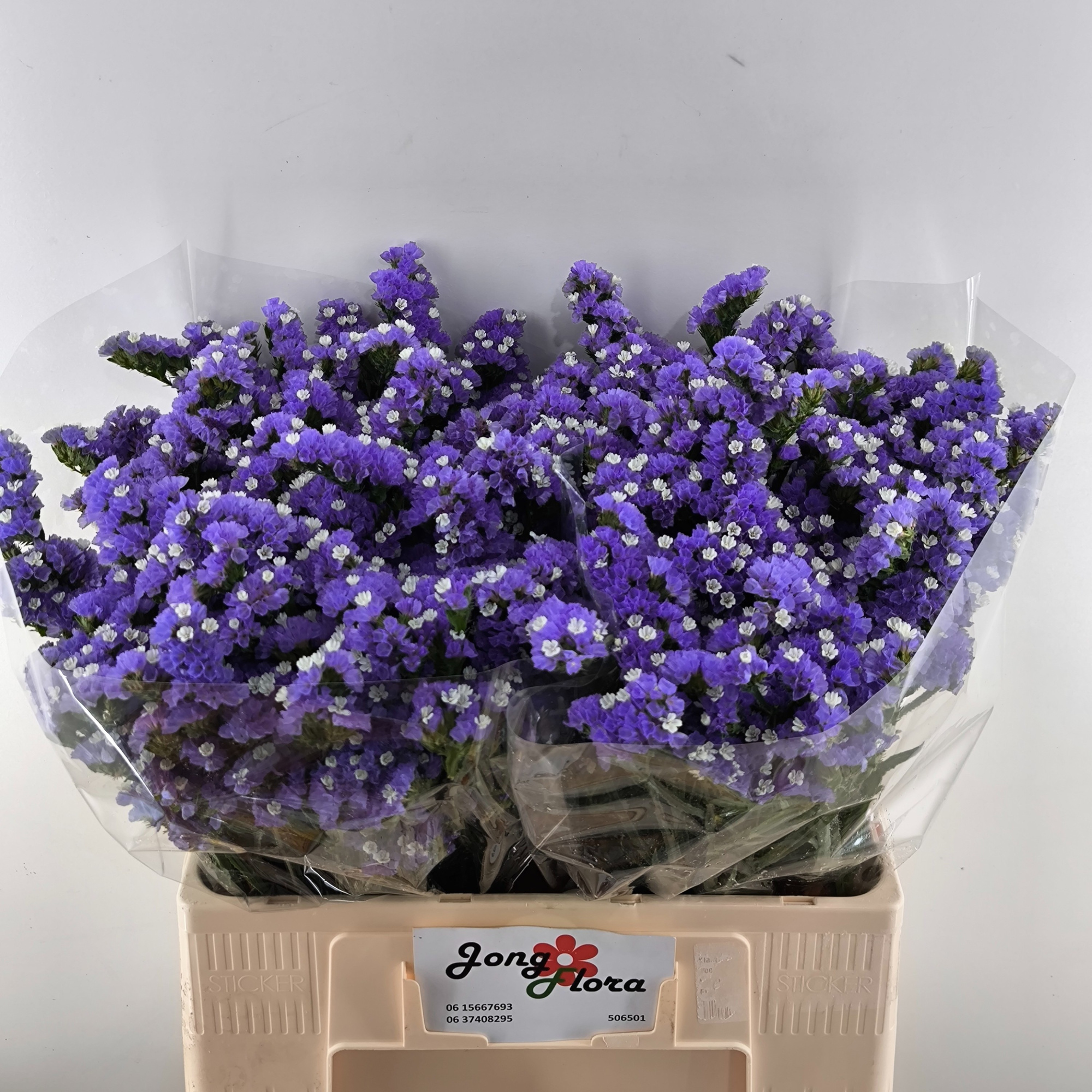 Статица Ливайс Вингз 60, шт.