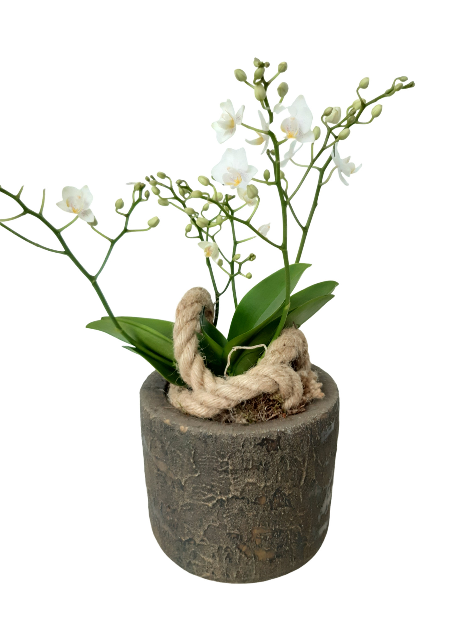 RCC16PWO Rude Copper Cilinder Pot Wild Orchids 4t+, D 16