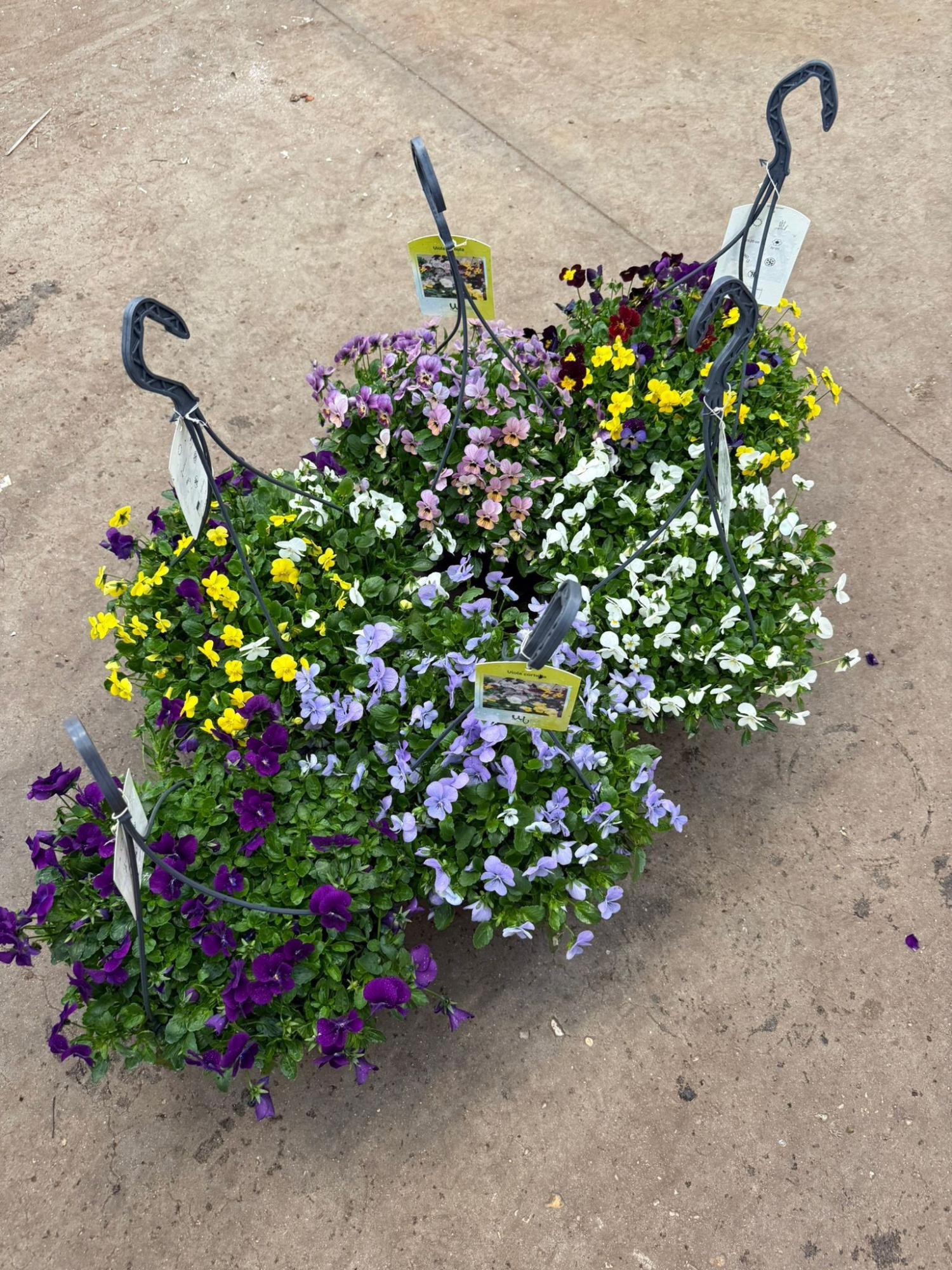 Hangpot Viola, D 27 cm