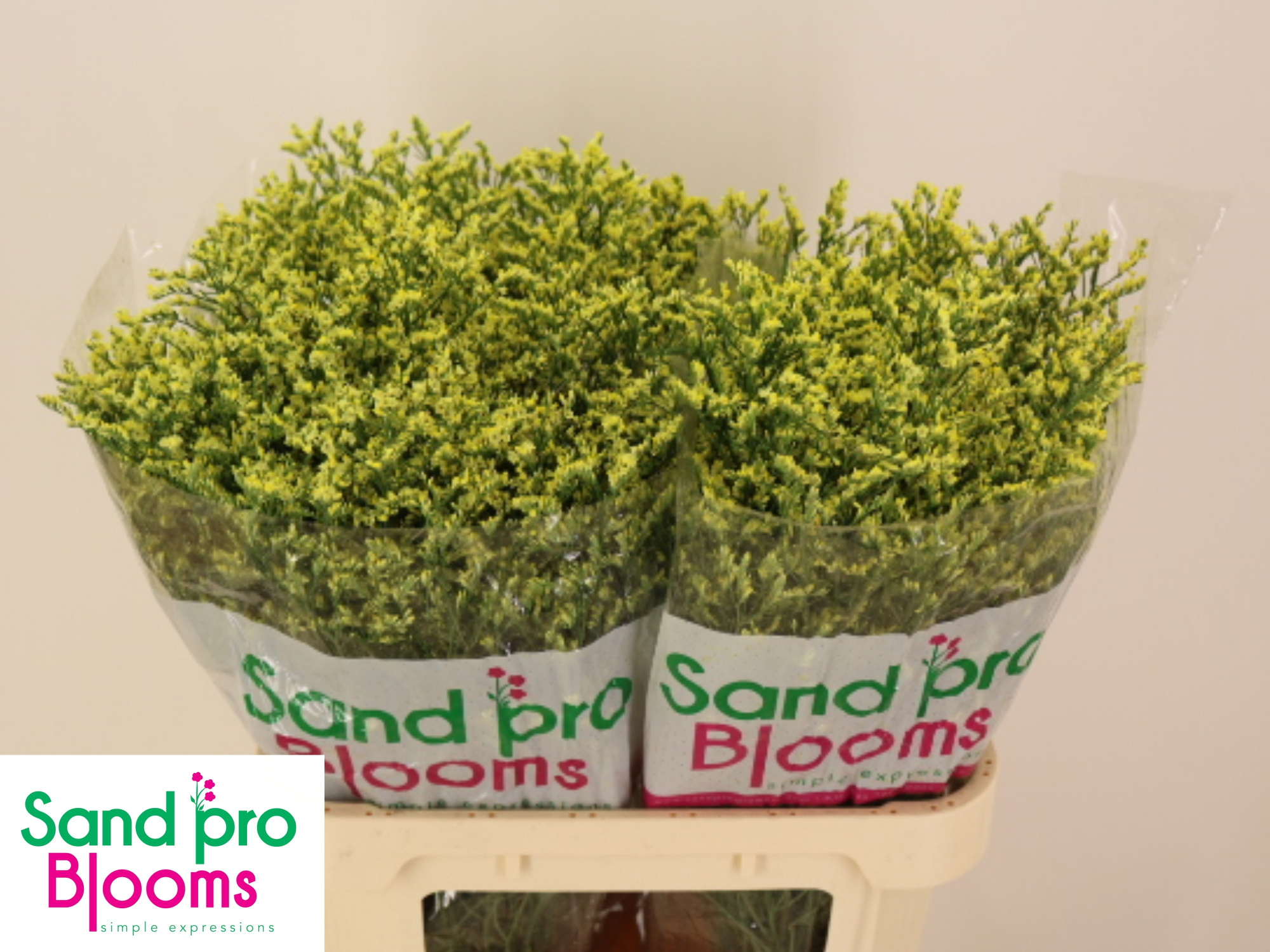 Лимониум Чайна Саммер 80, шт.