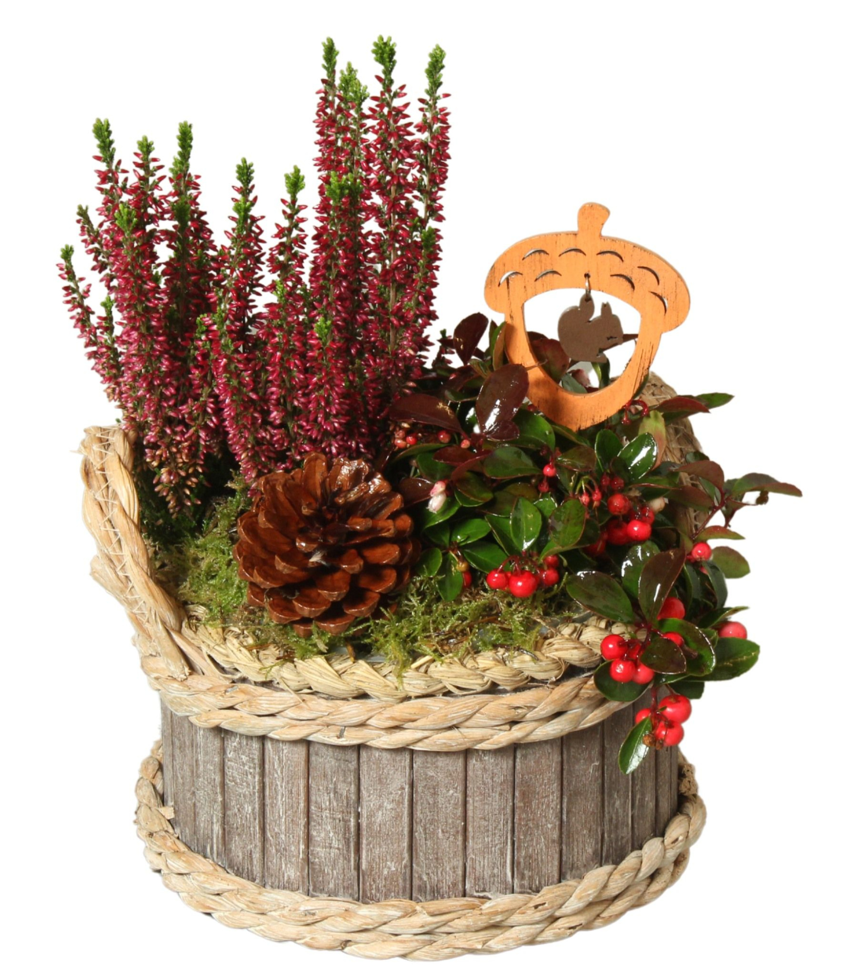 Autumn Arr. Indoor Wooden Pot Waterhyacint Rim Ø19cm 2PP, D 19 cm