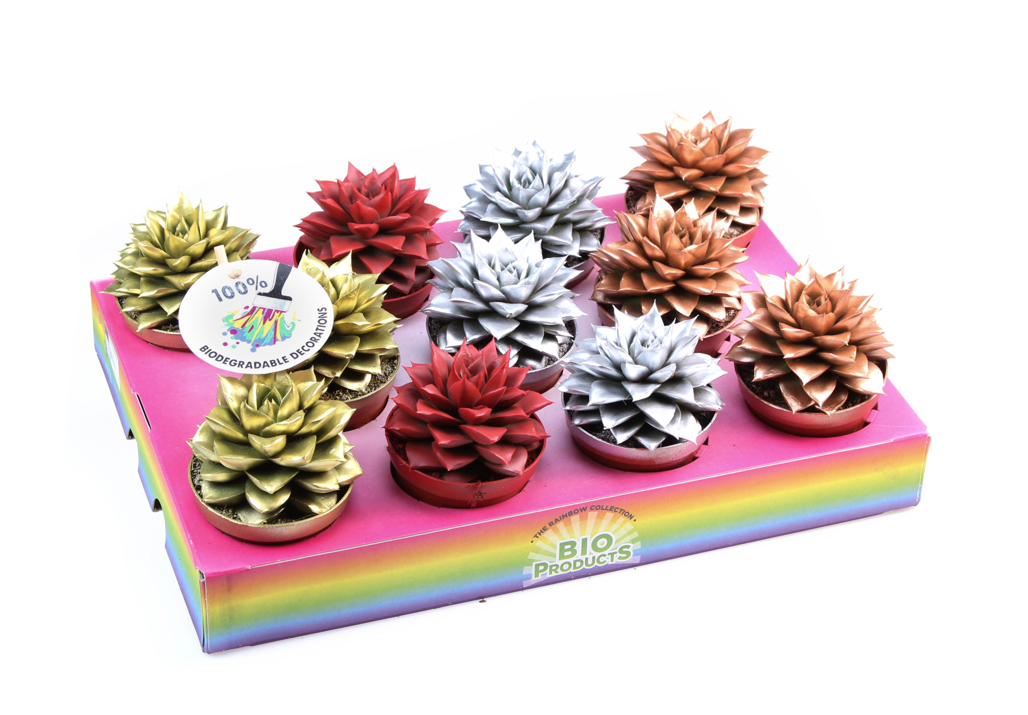 Bio purper rainbow mix, D 8,5