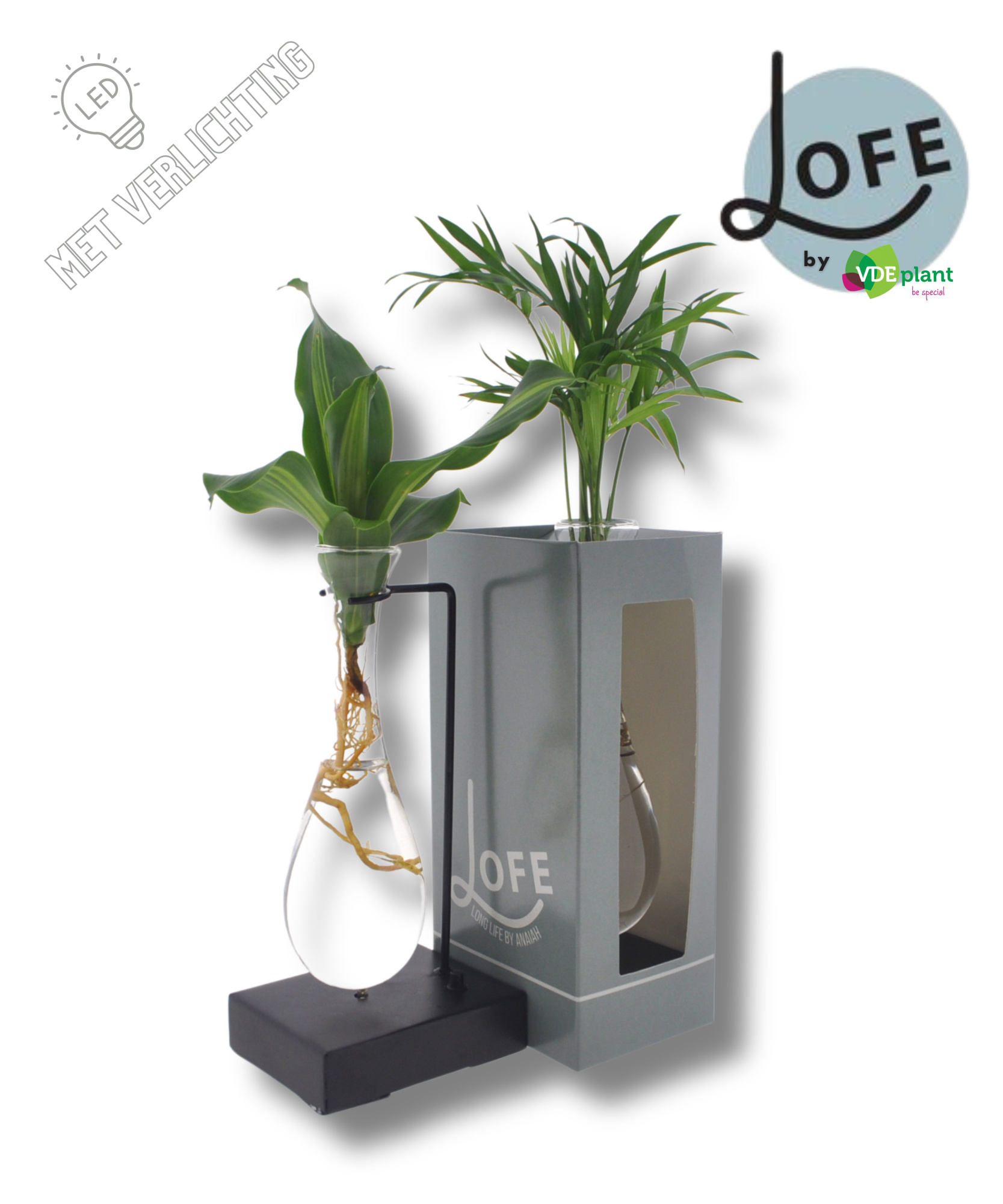 LOFE|Intenz mix in Hang glas MetAAL+VER- levertijd:24uur, D 12 cm