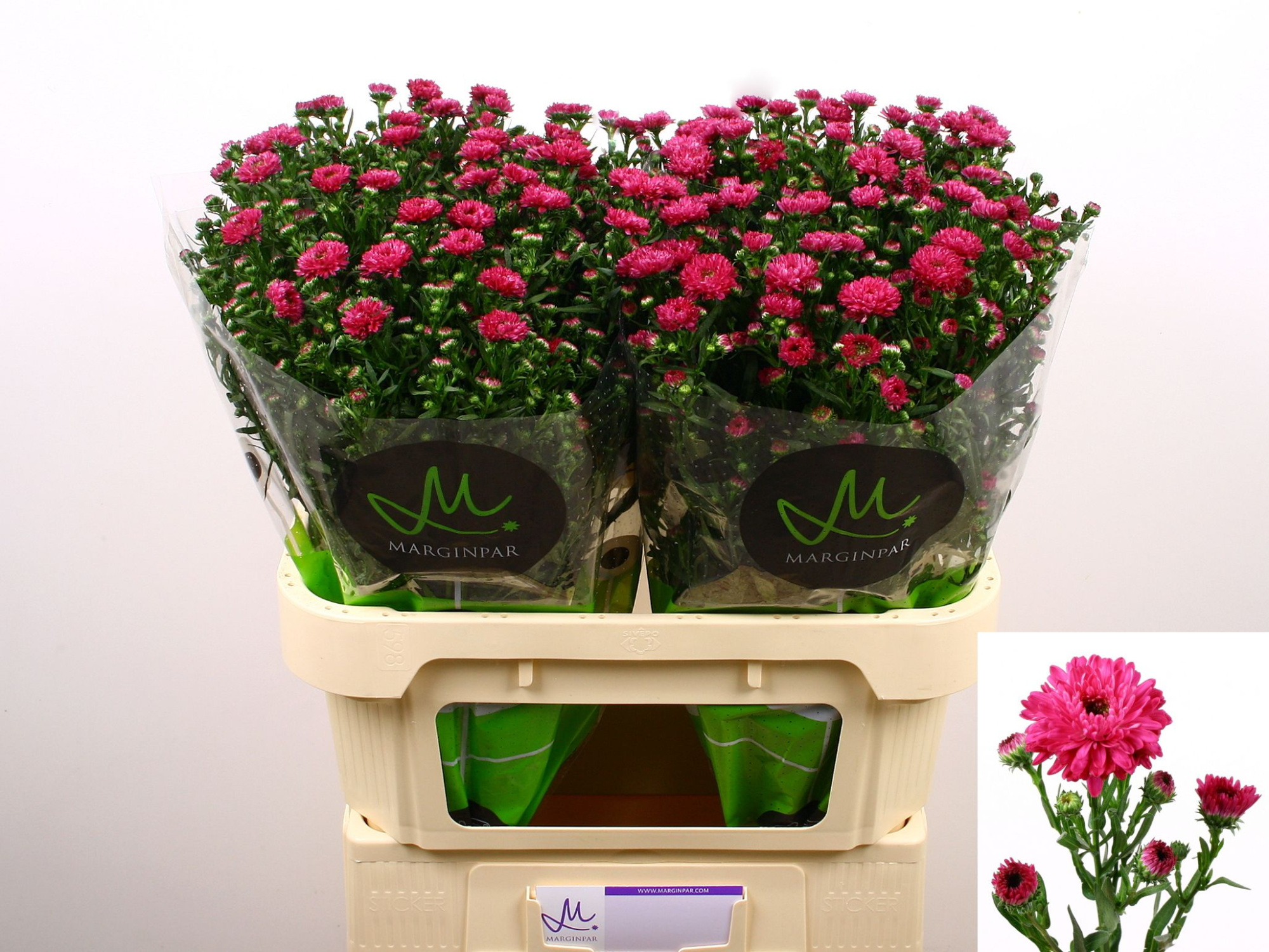 Астер Флэш 80, шт.