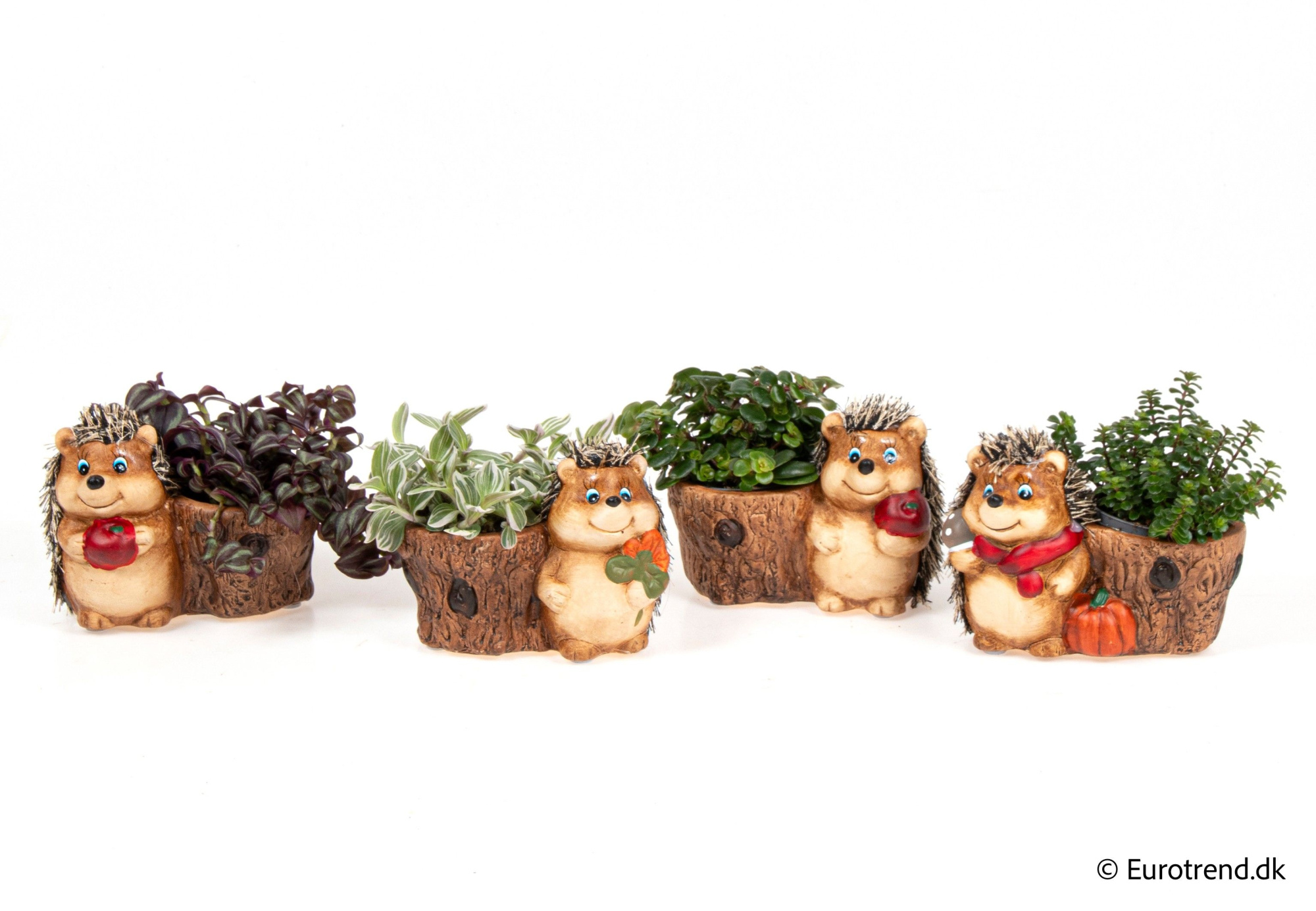 Green mix in hedgehog autumn ceramic - Spring, Summer & Autumn 2025, D 6 cm