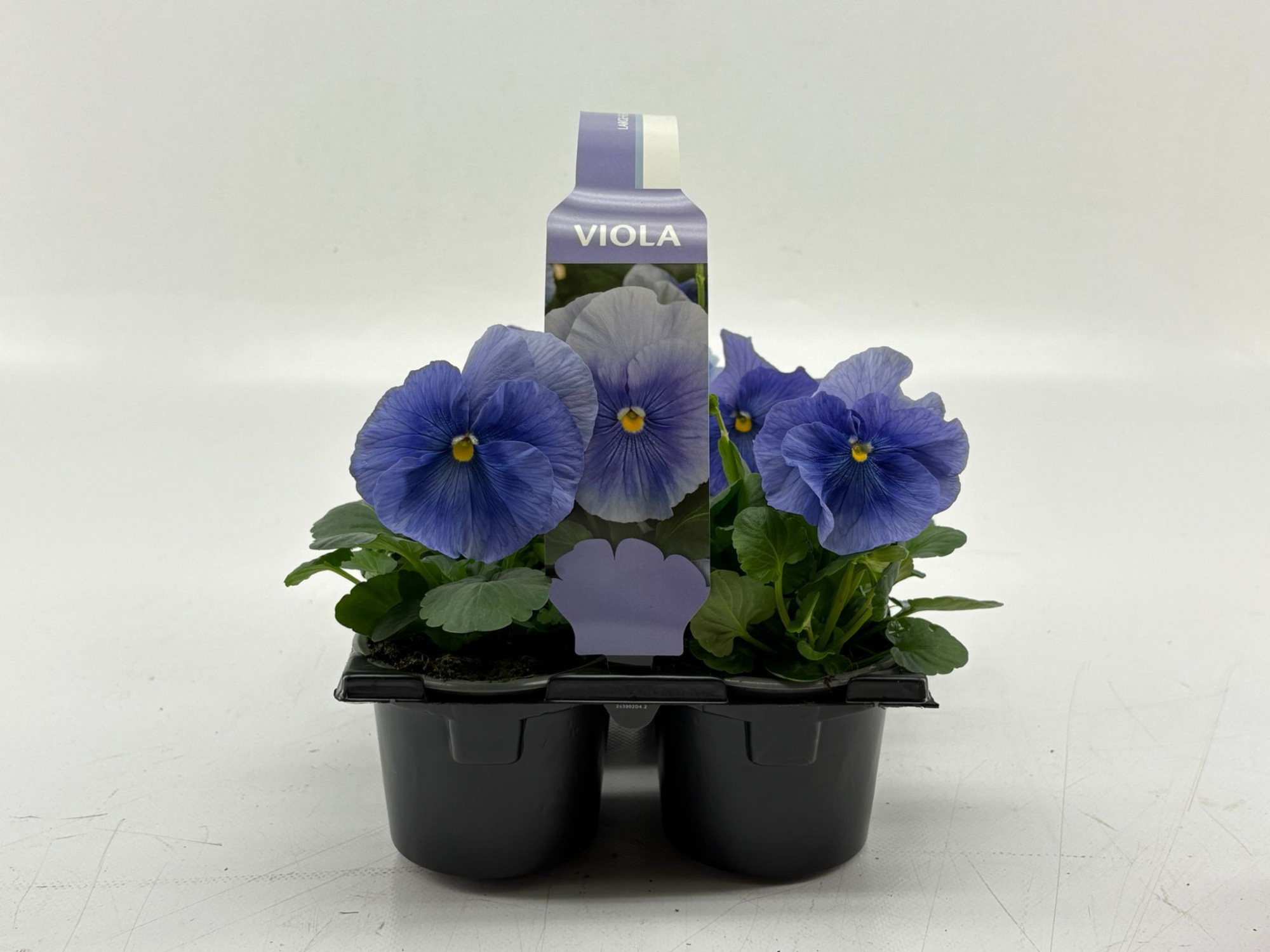 Sixpack Viola F1 TClear Light Blue, D 9 cm