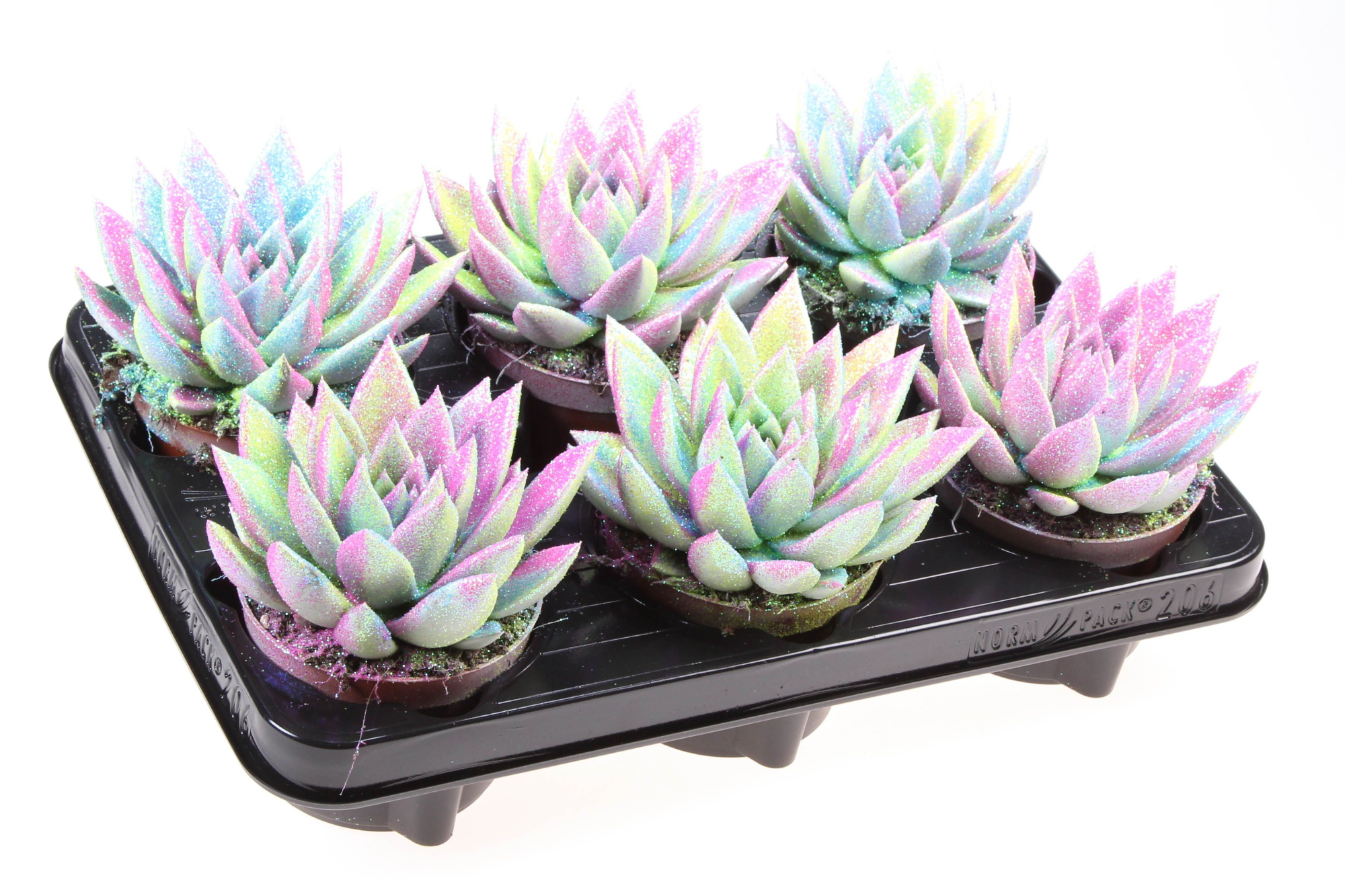 Miranda multi glitter mix, D 10,5 cm