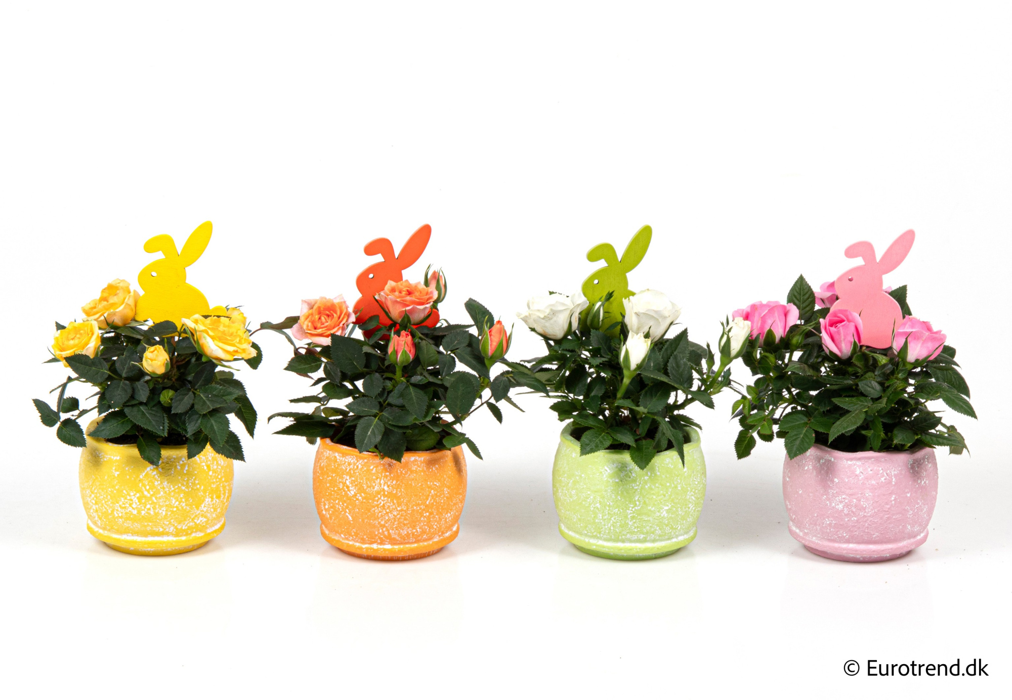 Roses in Easter ceramic 2026, D 6