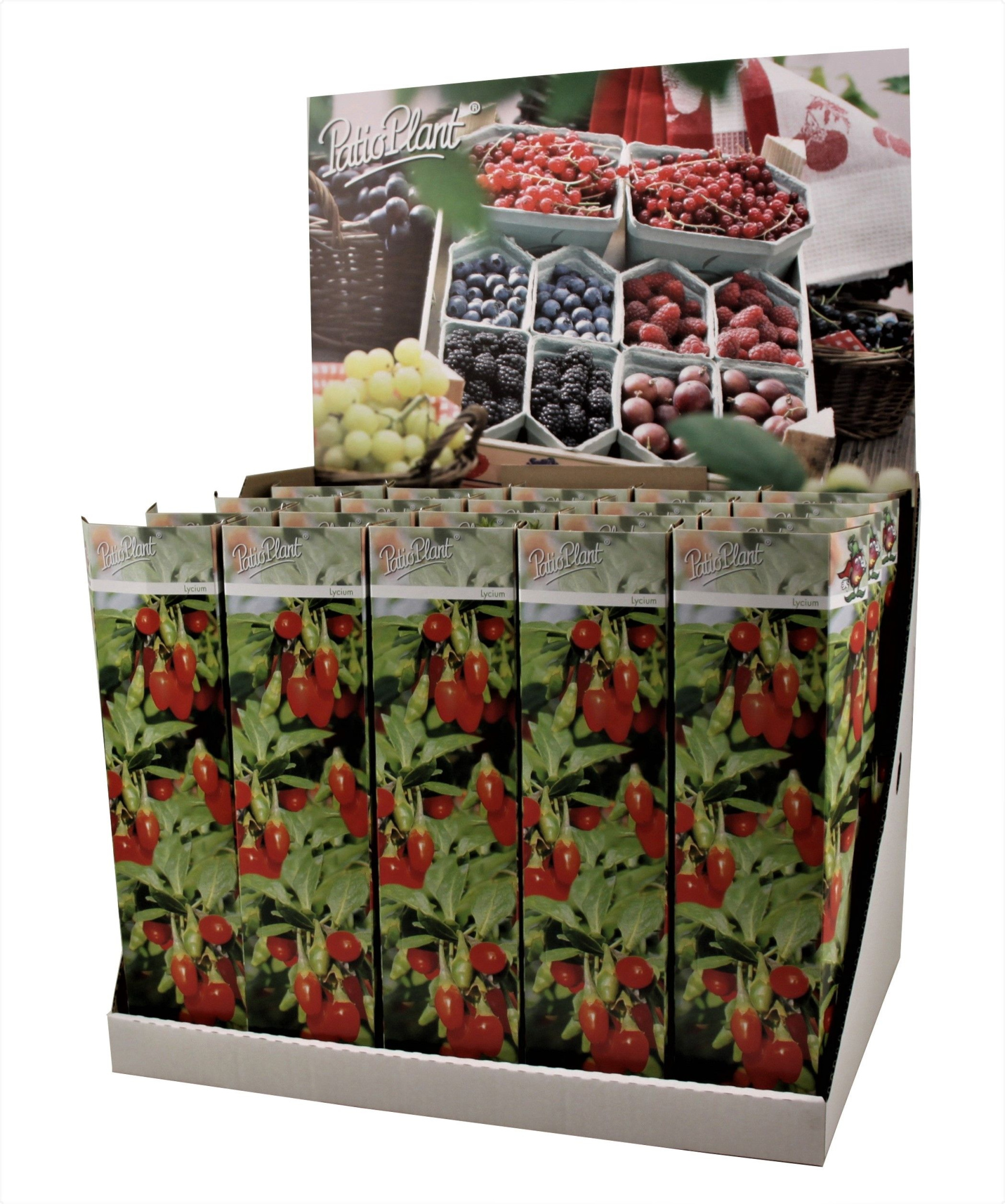 Goji Superfruit, D 9