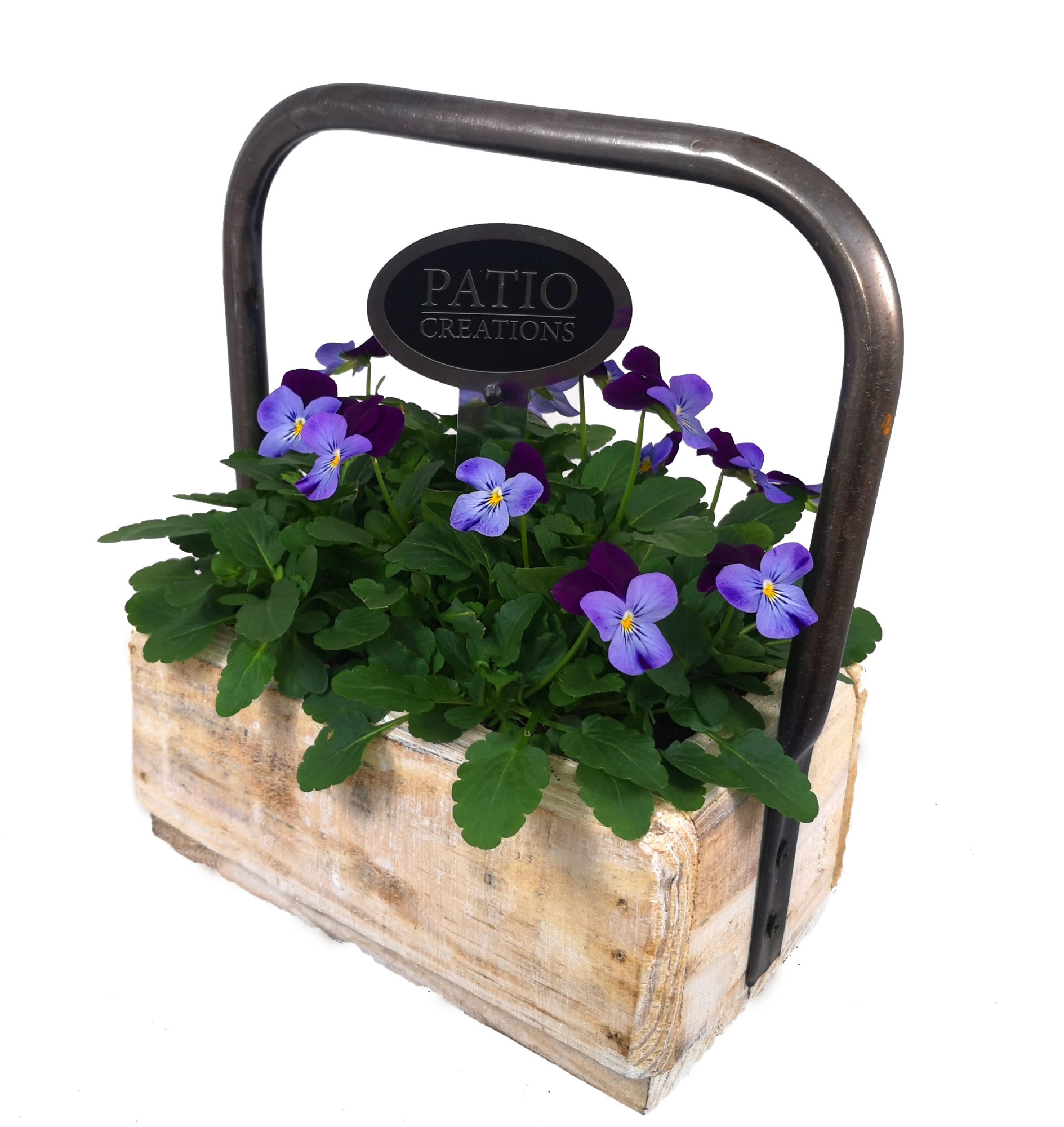 V670-9001 Viola dennenhout metaal hengsel S, D 22