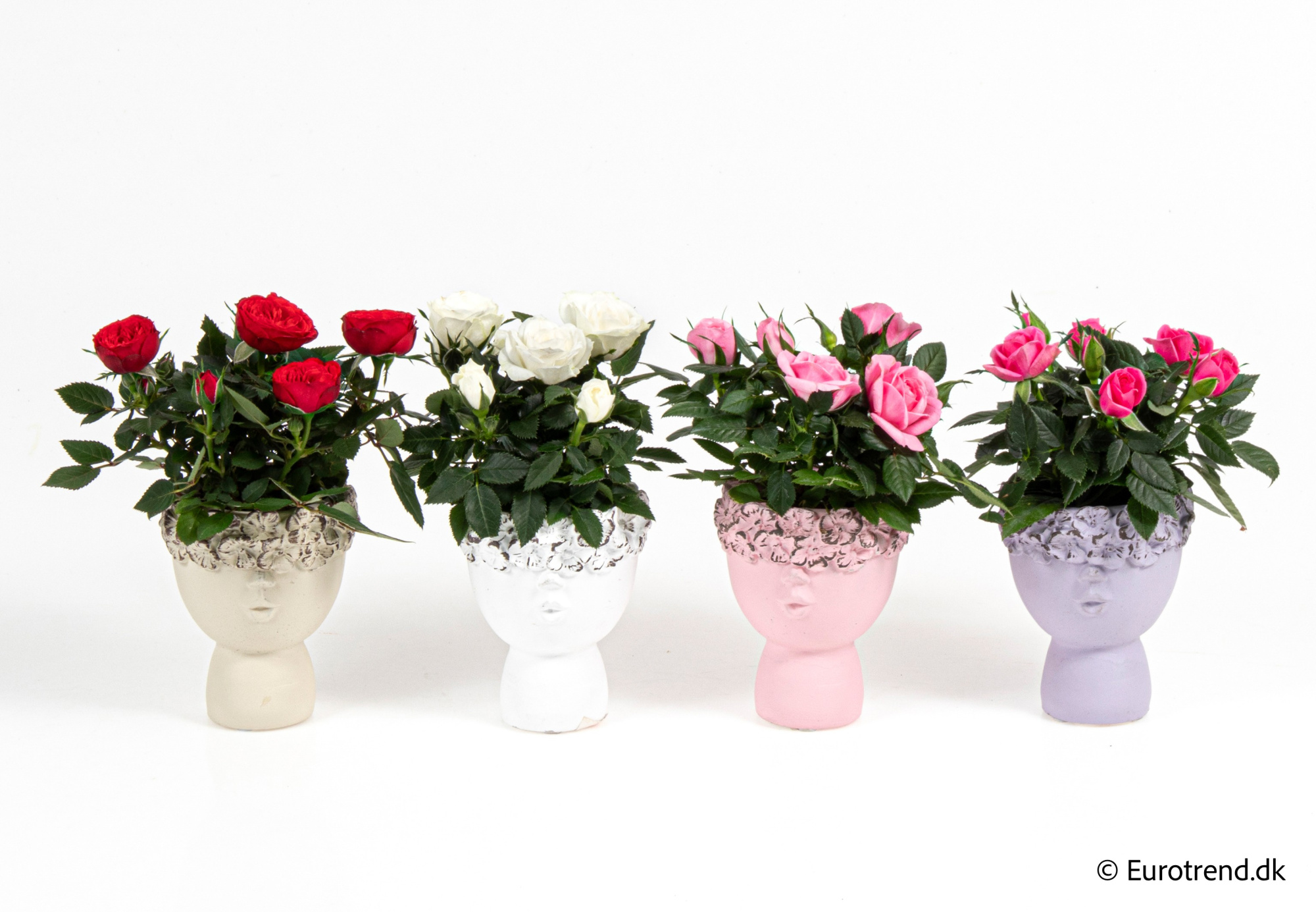 Roses in Valentine ceramic 2026, D 6