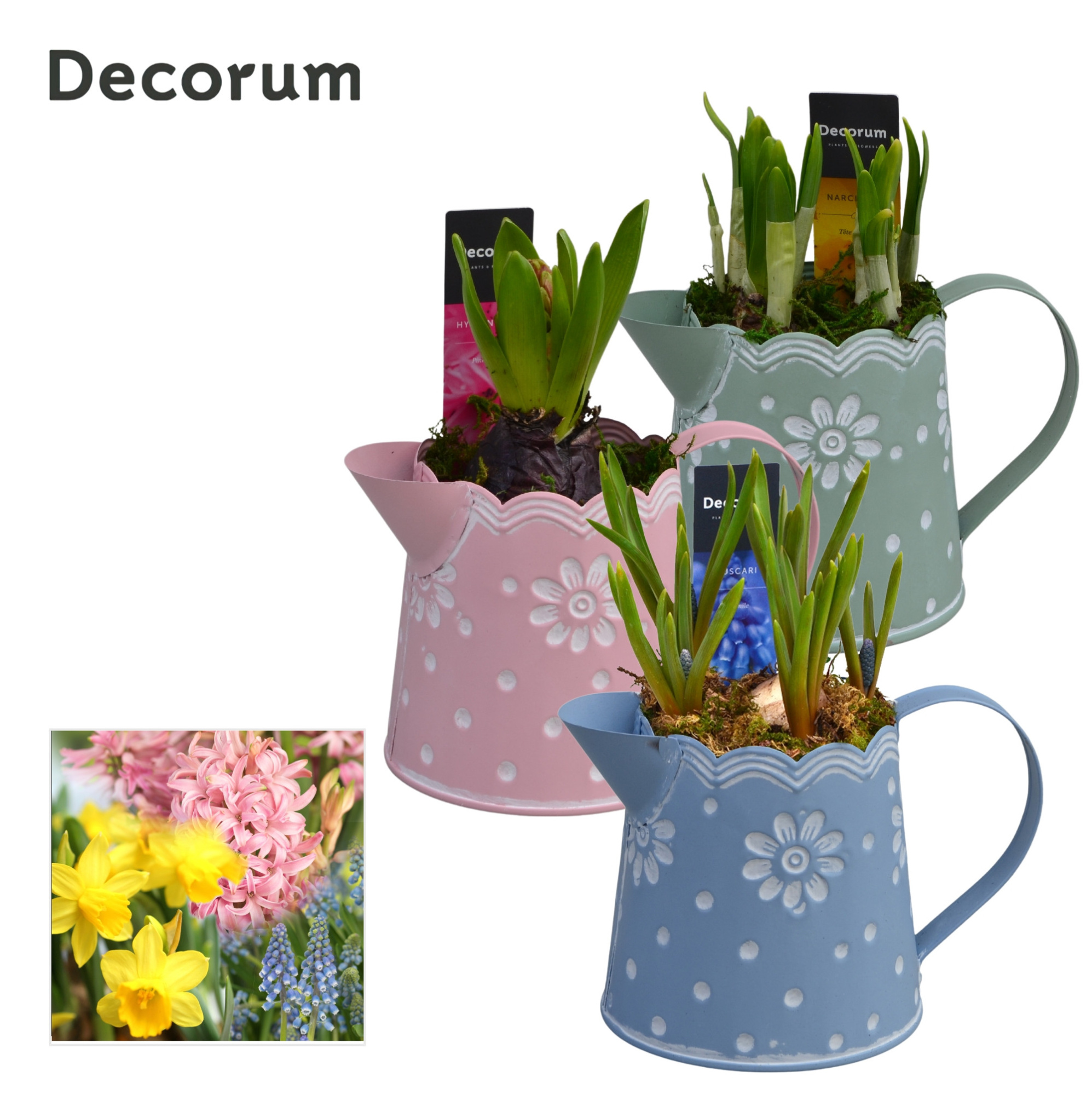 Bollenmix Lindsey HL15053B, D 10