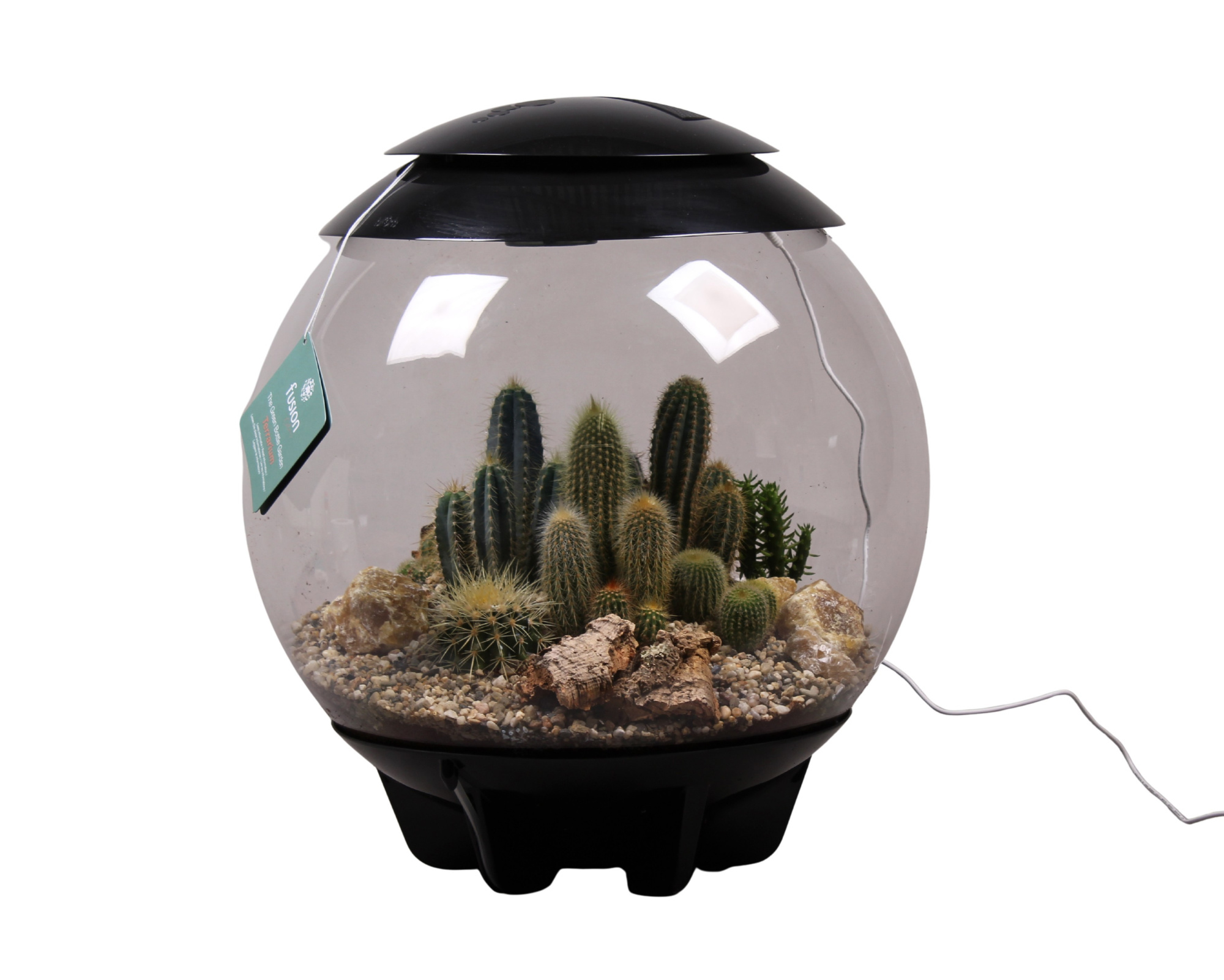 Terrarium XXL Exclusive zwart met Cactussen, D 45
