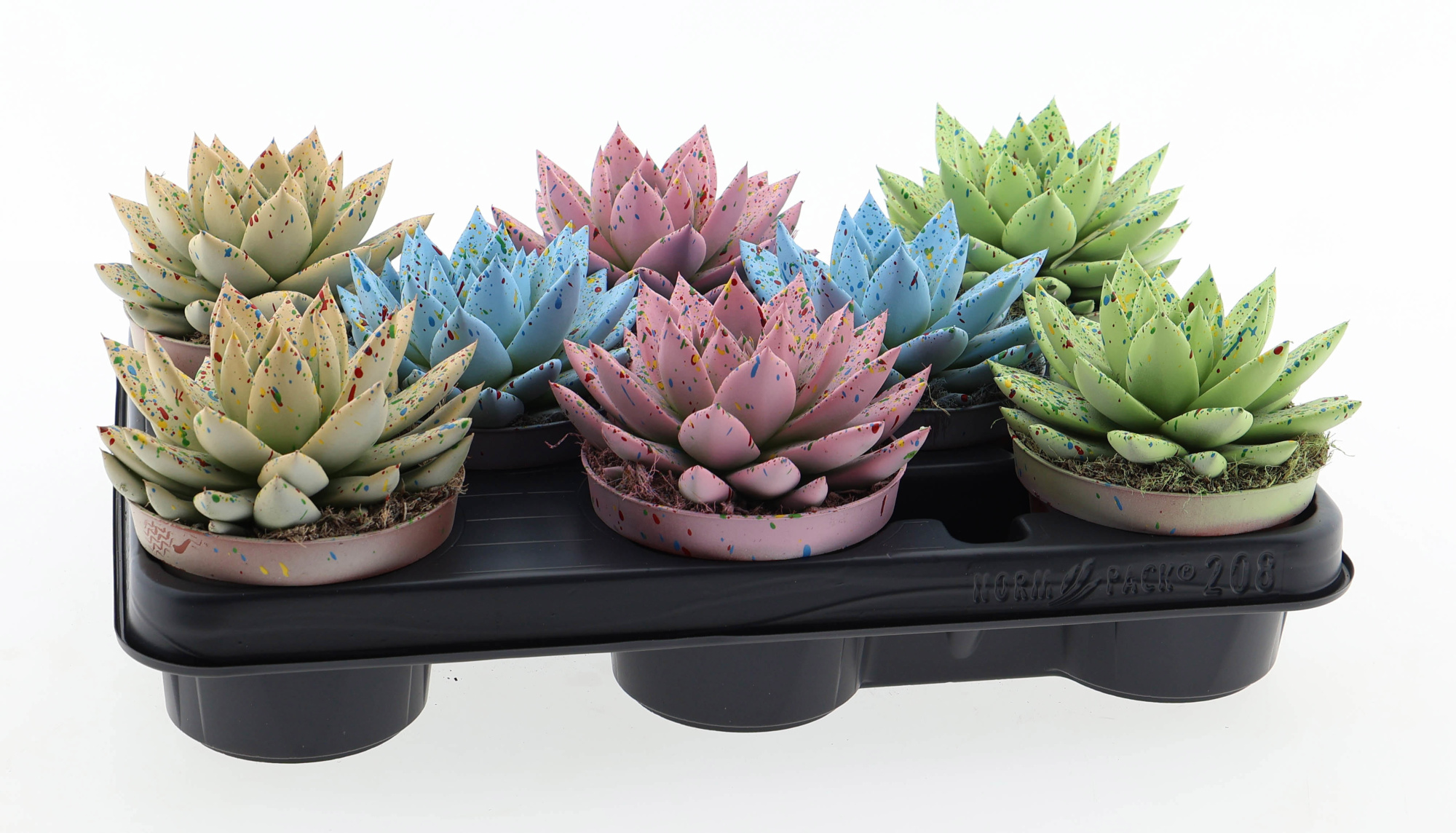 Easter sprinkle mix, D 10,5