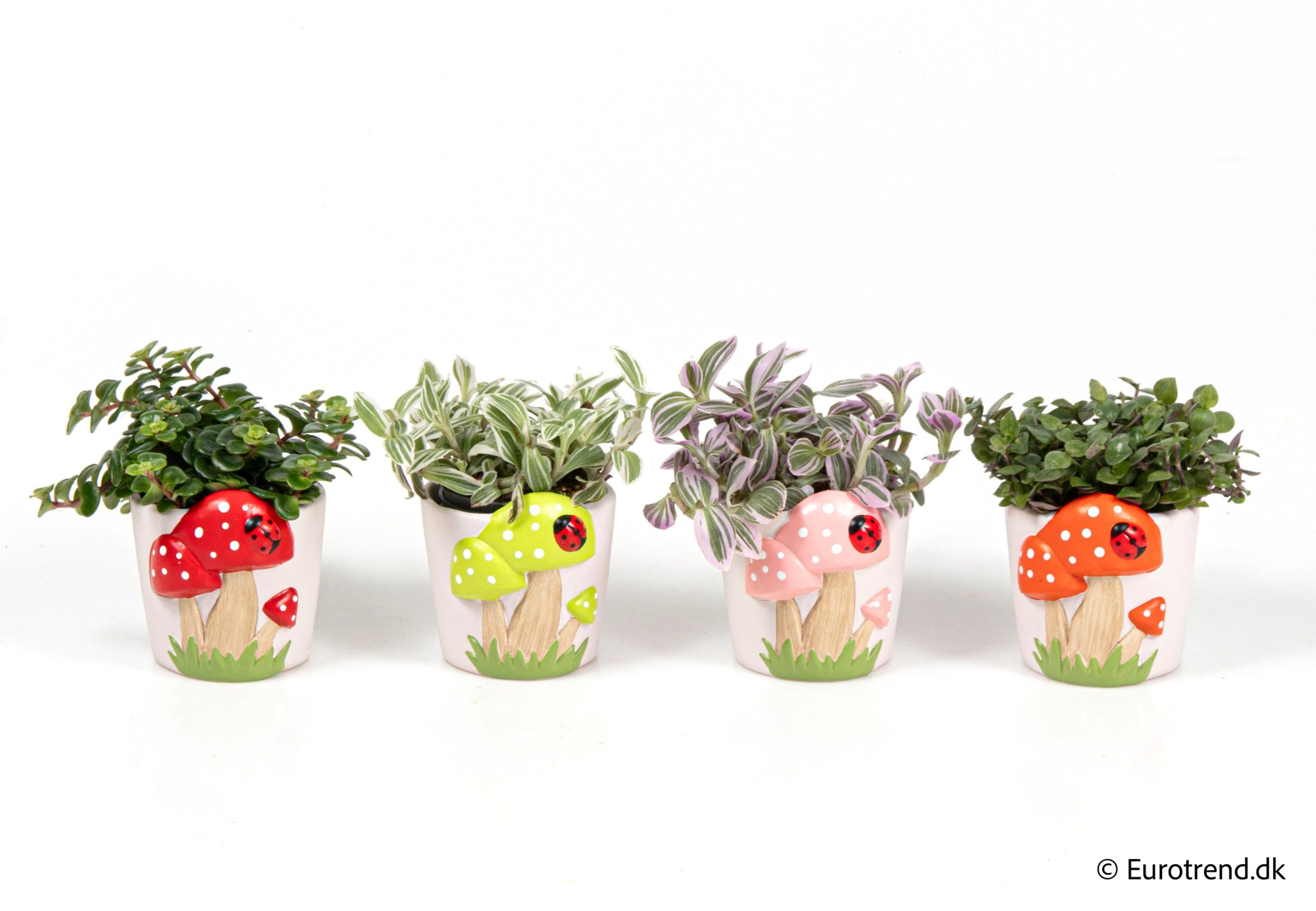 Green mix in mushroom ceramic - Spring, Summer & Autumn 2025, D 6 cm