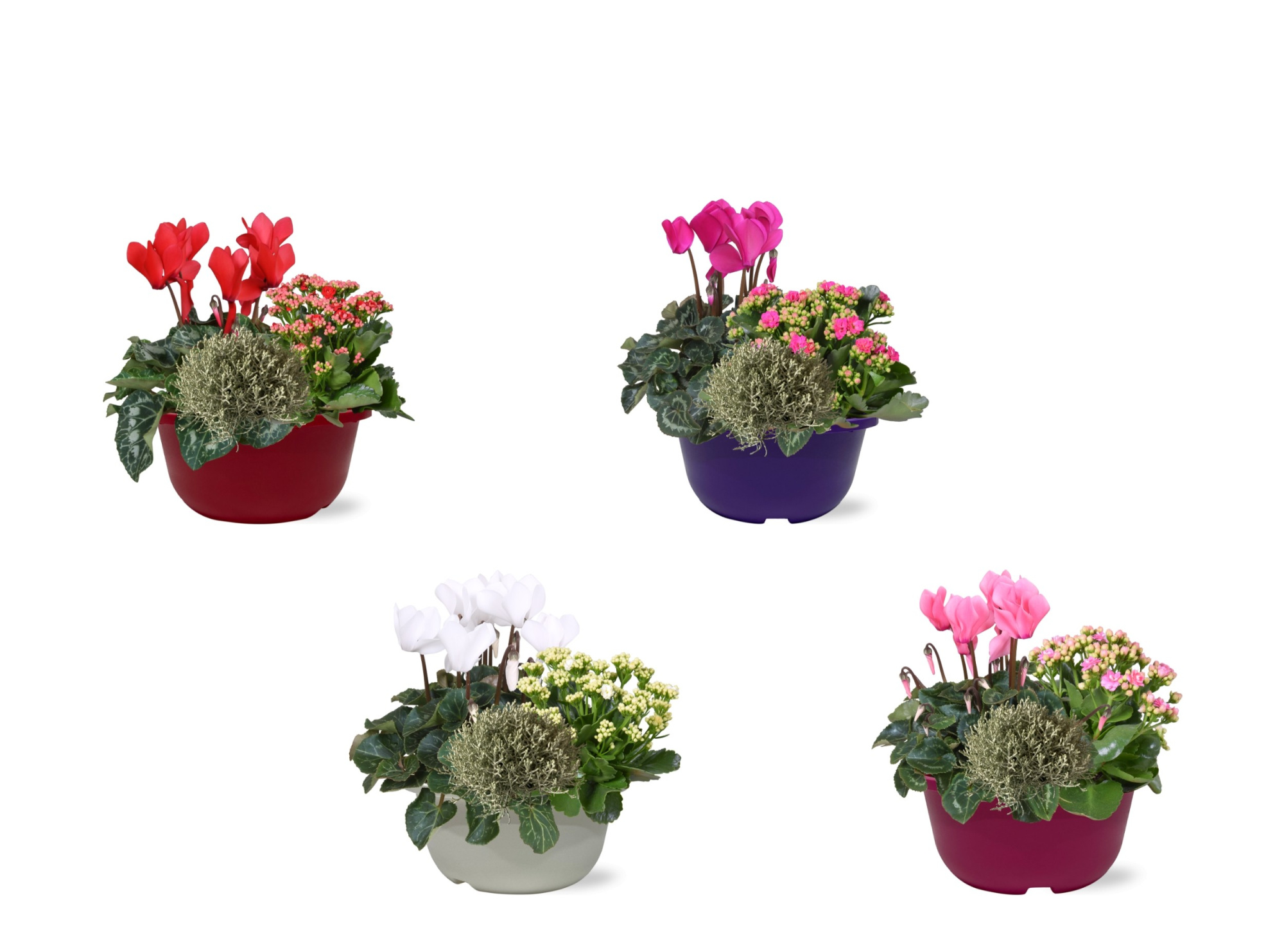 Hello Autumn trio in schaal 19 cm, D 19 cm