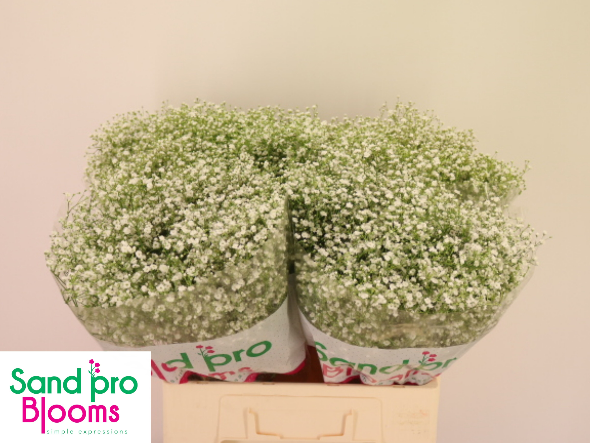 Гипсофила Экселенс 60, шт.