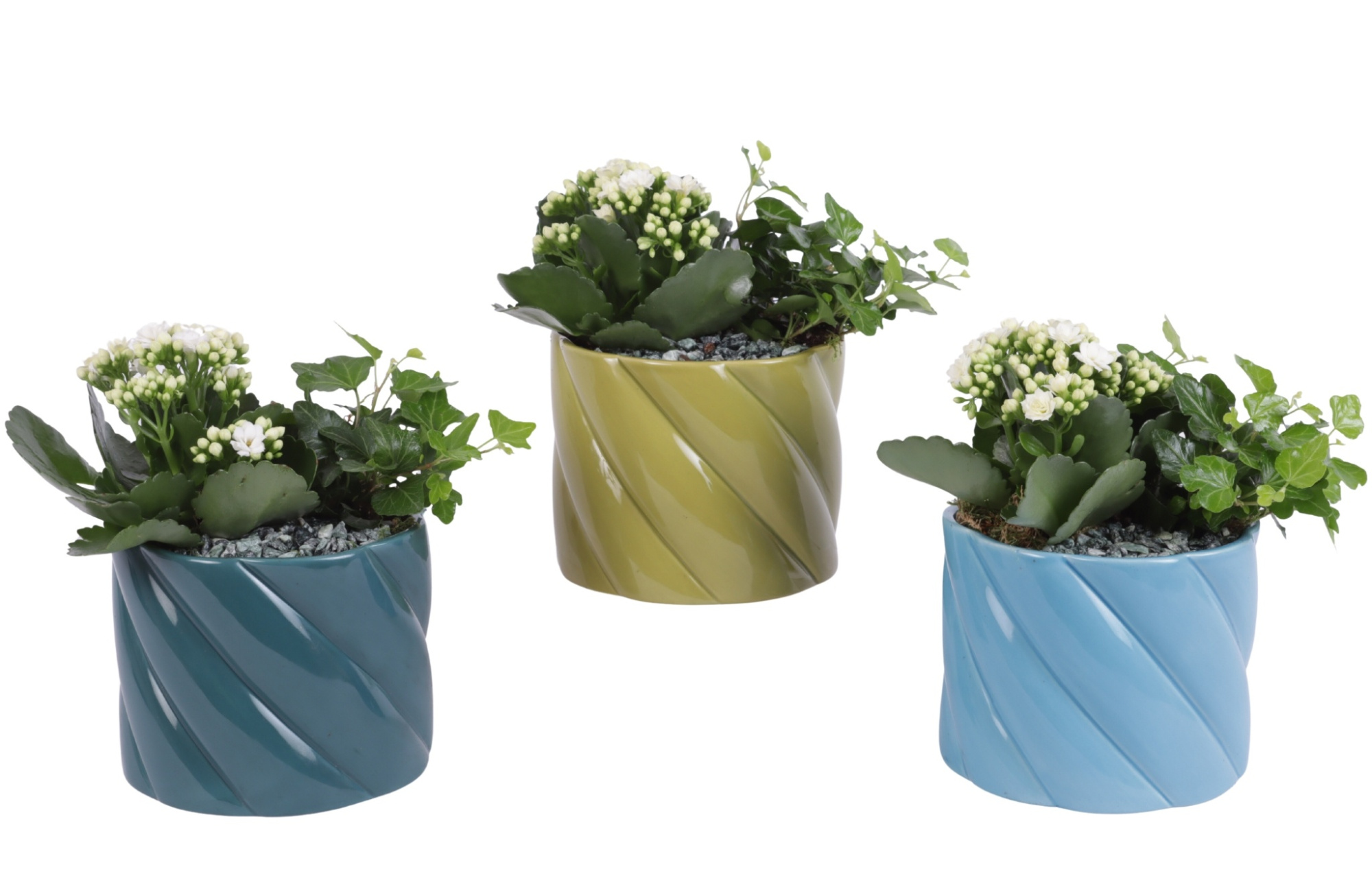 Yearround Arr. Indoor Ceramic Fresh Breeze FB674 Ø14cm 2PP, D 14