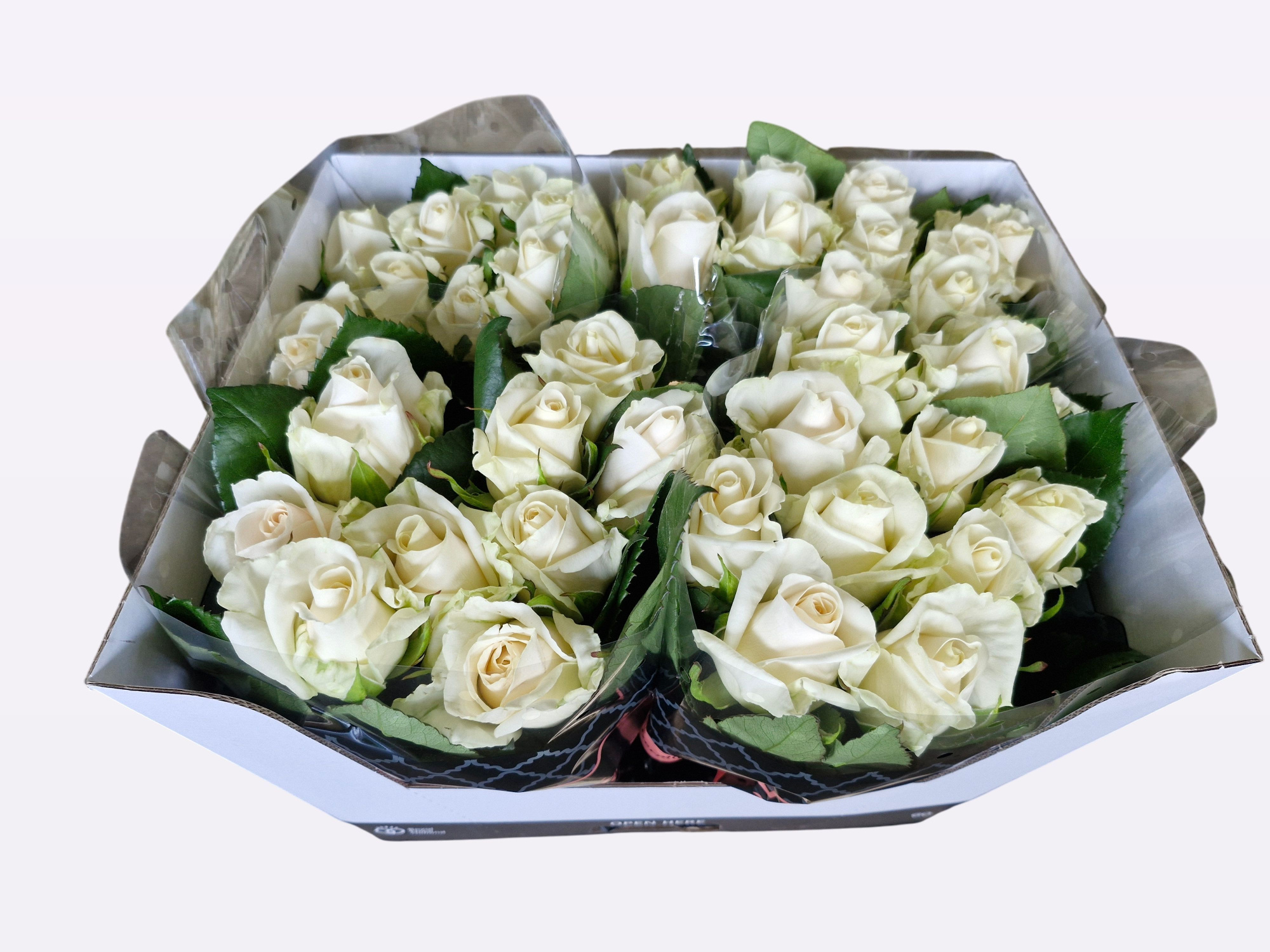 Роза од. Милена 60, шт.