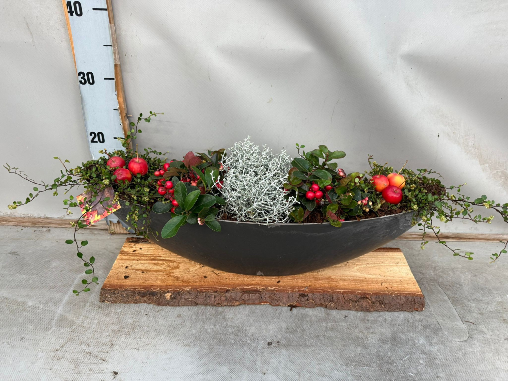 Boot op plank Groot herfst, D 56 cm